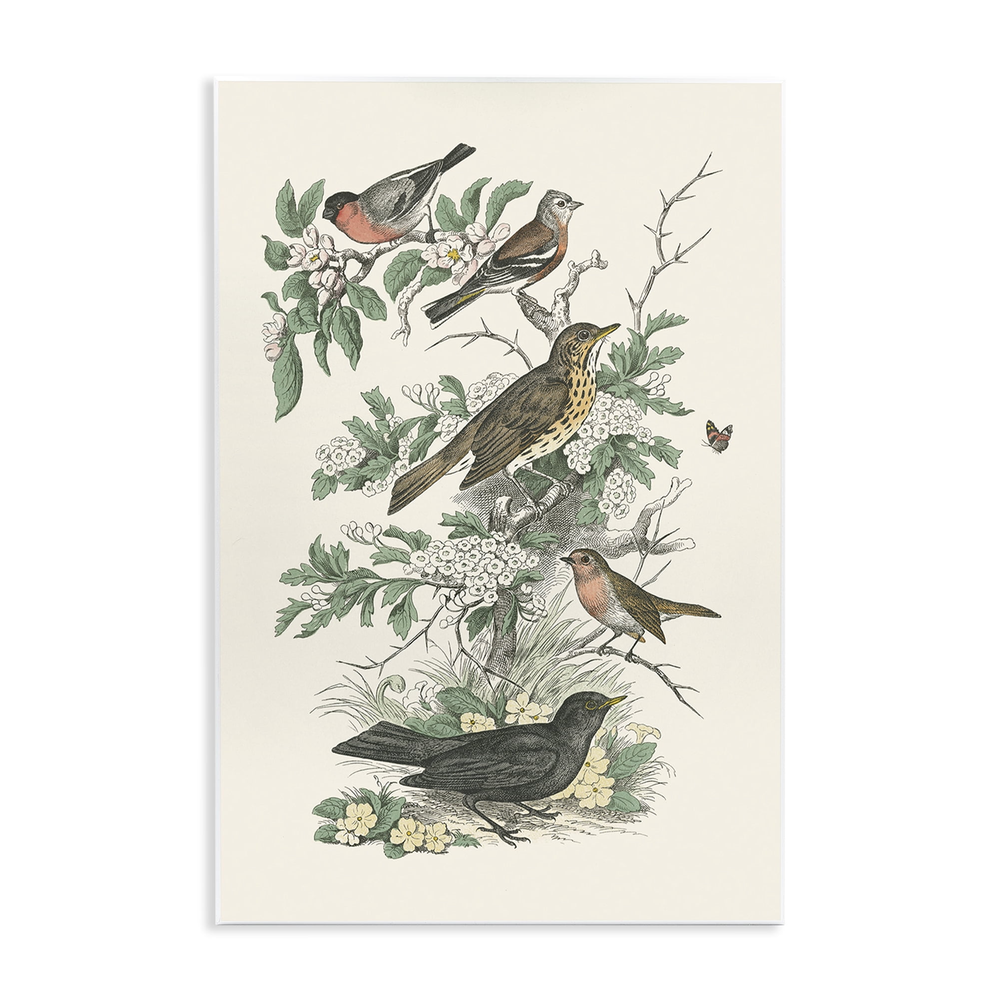 Stupell Industries Honeybloom Birds Perched Botanical & Floral Painting Unframed Art Print Wall Art, 10 x 15