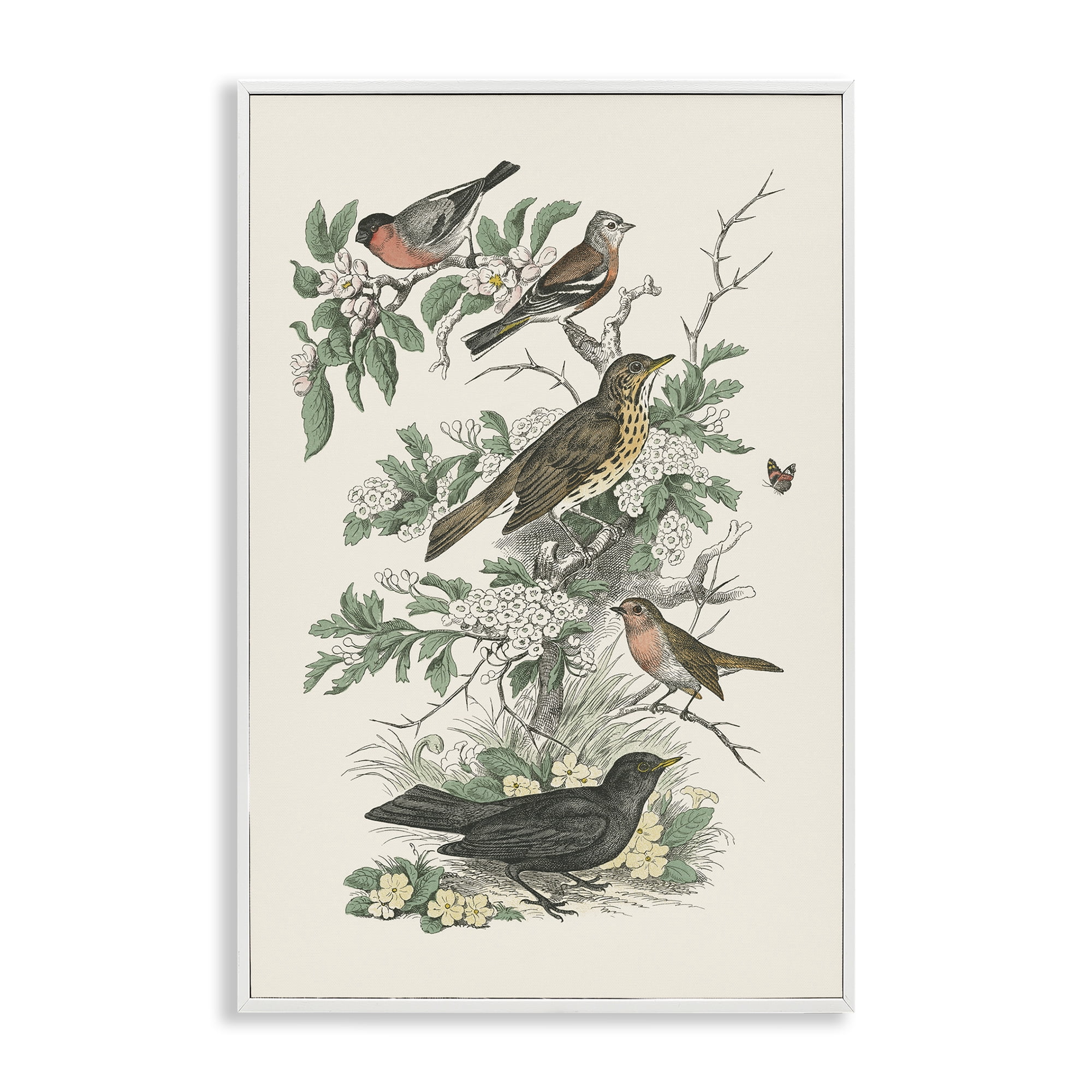 Stupell Industries Honeybloom Birds Perched Botanical & Floral Painting White Framed Art Print Wall Art, 16 x 24