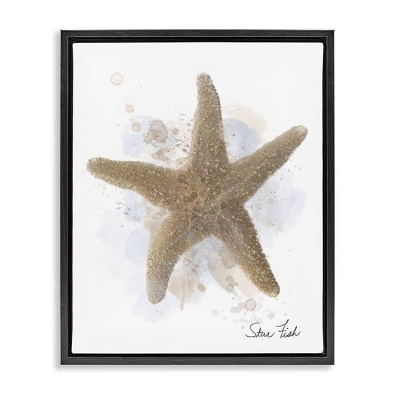Stupell Industries Honeybloom Coastal Starfish Black Framed Floater Canvas Wall Art design by Matthew Piotrowicz, 21 x 17
