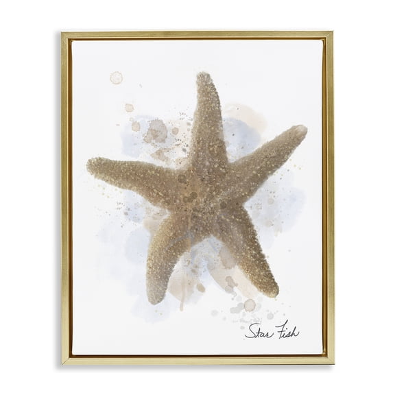 Stupell Industries Honeybloom Coastal Starfish Gold Framed Floater Canvas Wall Art design by Matthew Piotrowicz, 31 x 25