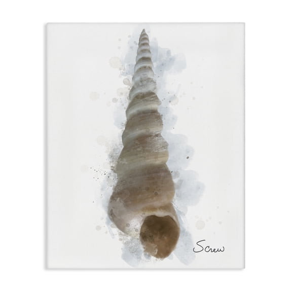 Stupell Industries Honeybloom Turritella Shell Canvas Wall Art design by Matthew Piotrowicz, 40 x 30