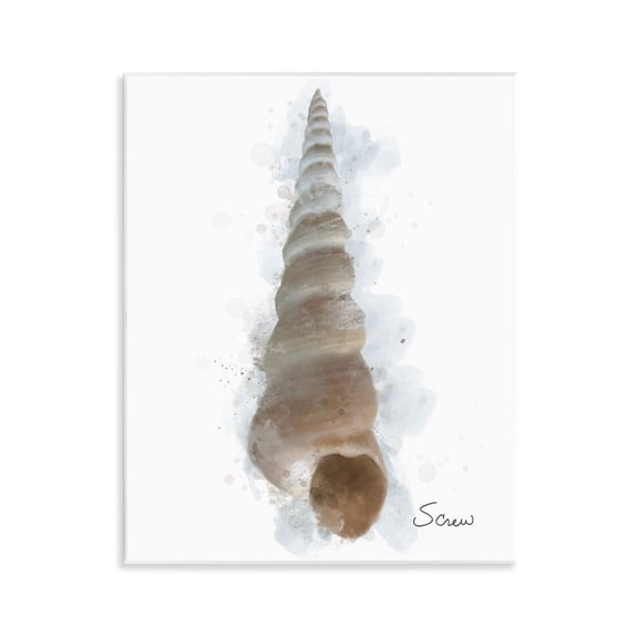 Stupell Industries Honeybloom Turritella Shell Wall Plaque Art design by Matthew Piotrowicz, 14 x 11