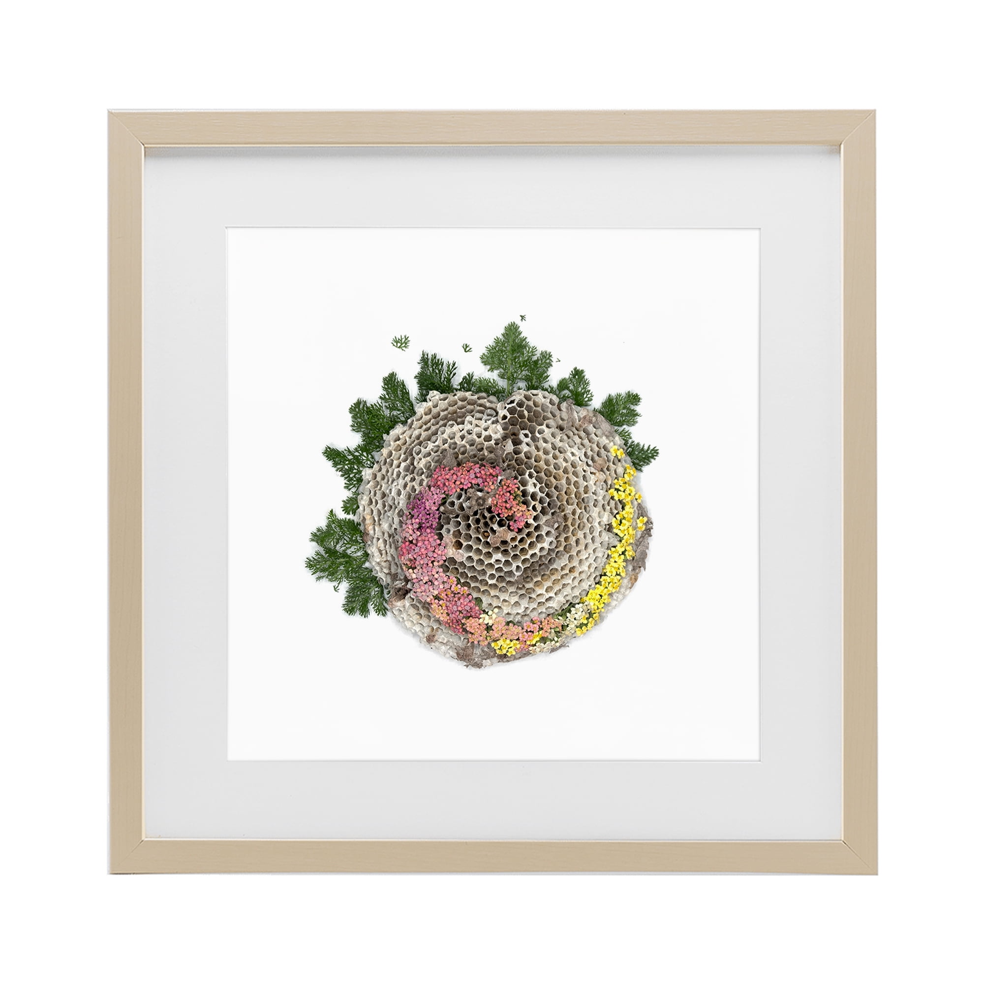 Stupell Industries Honeycomb with Botanicals Birch Framed Print Under Glass, design by Beth Adoette