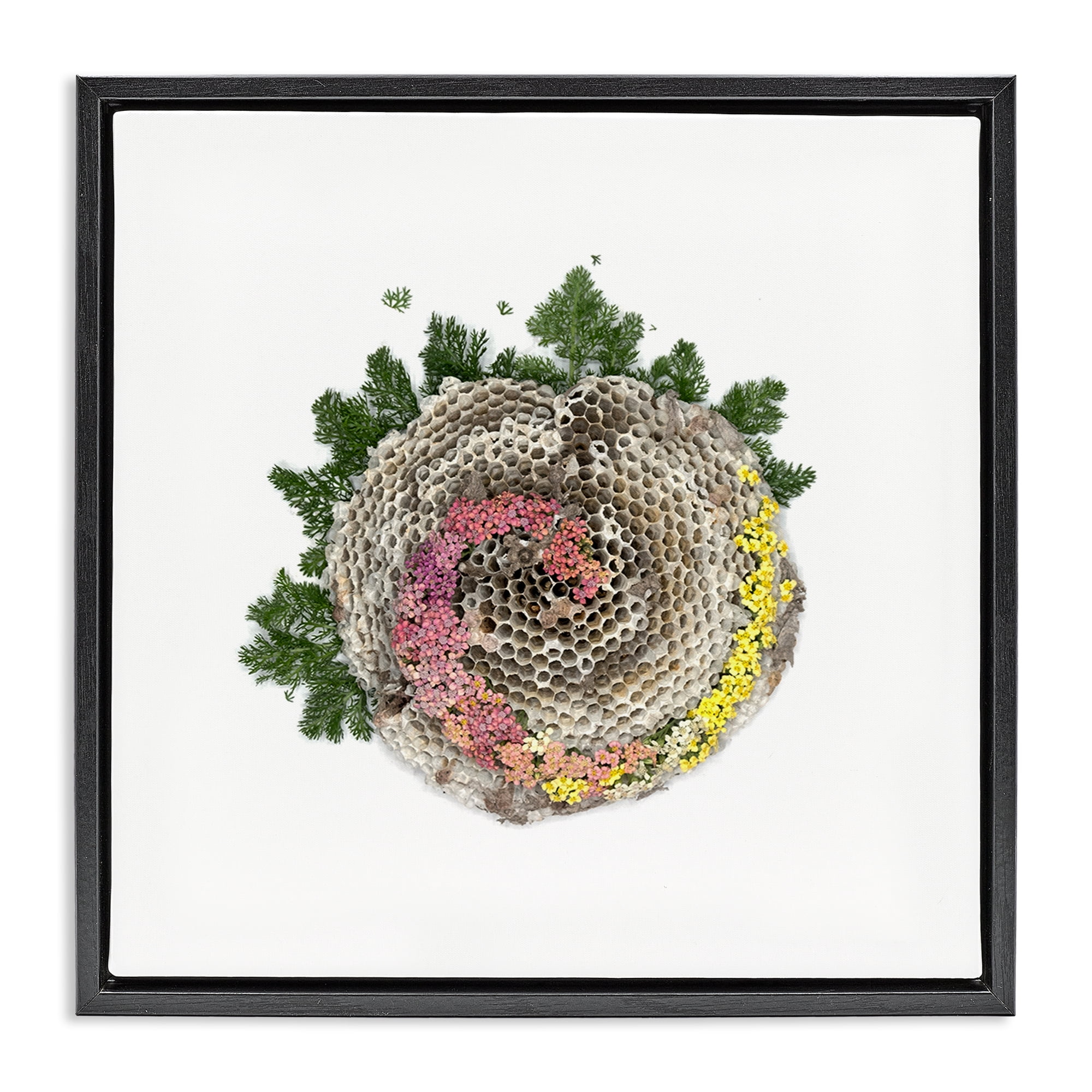 Stupell Industries Honeycomb with Botanicals Black Framed Floater Canvas Wall Art, design by Beth Adoette