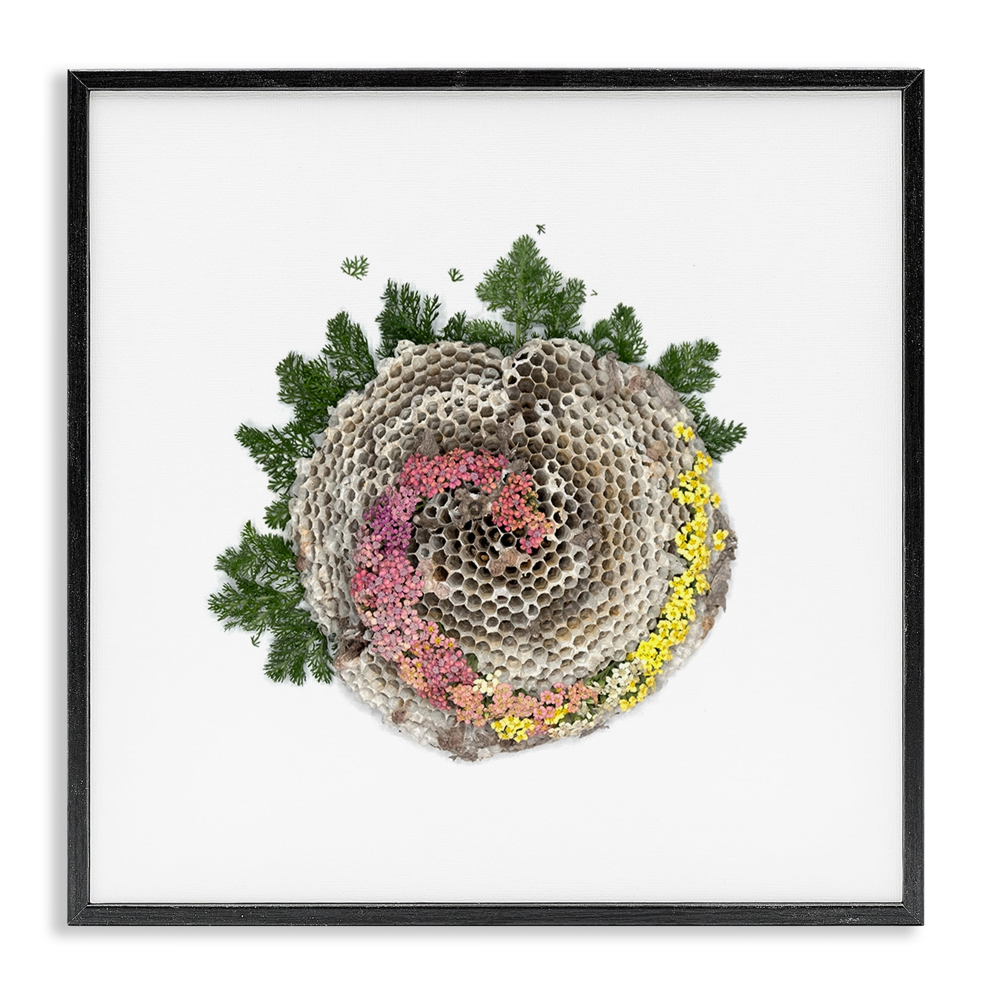Stupell Industries Honeycomb with Botanicals Black Framed Giclee Art, design by Beth Adoette