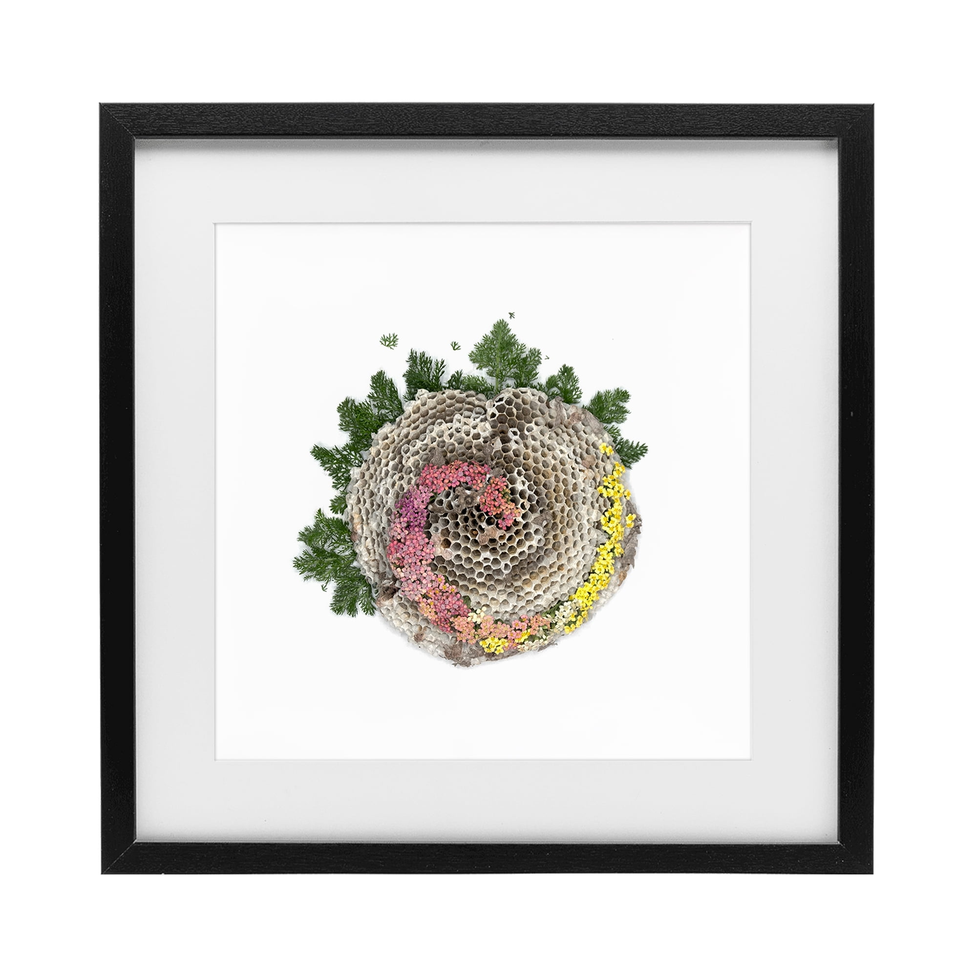 Stupell Industries Honeycomb with Botanicals Black Framed Print Under Glass, design by Beth Adoette