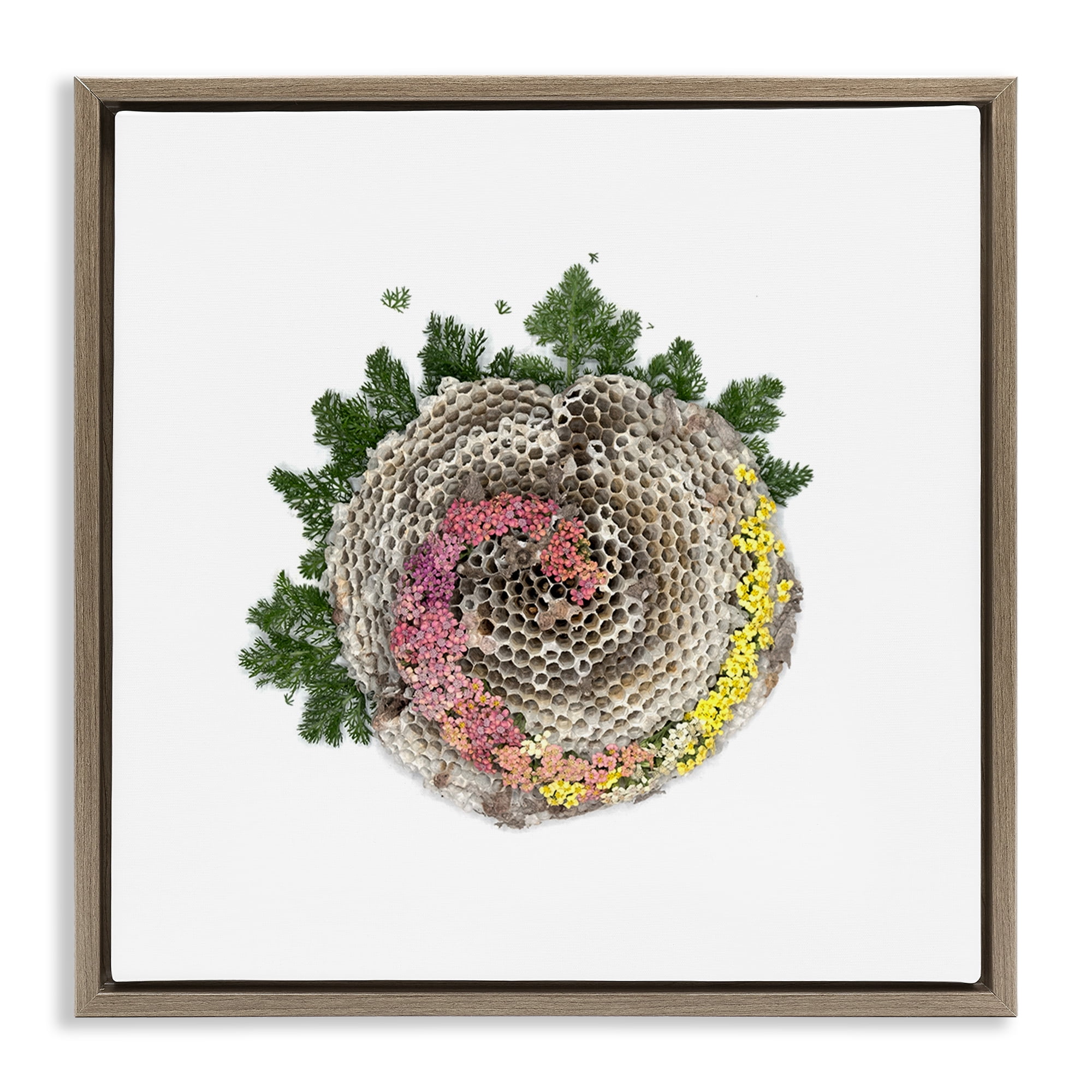 Stupell Industries Honeycomb with Botanicals Brown Framed Floater Canvas Wall Art, design by Beth Adoette