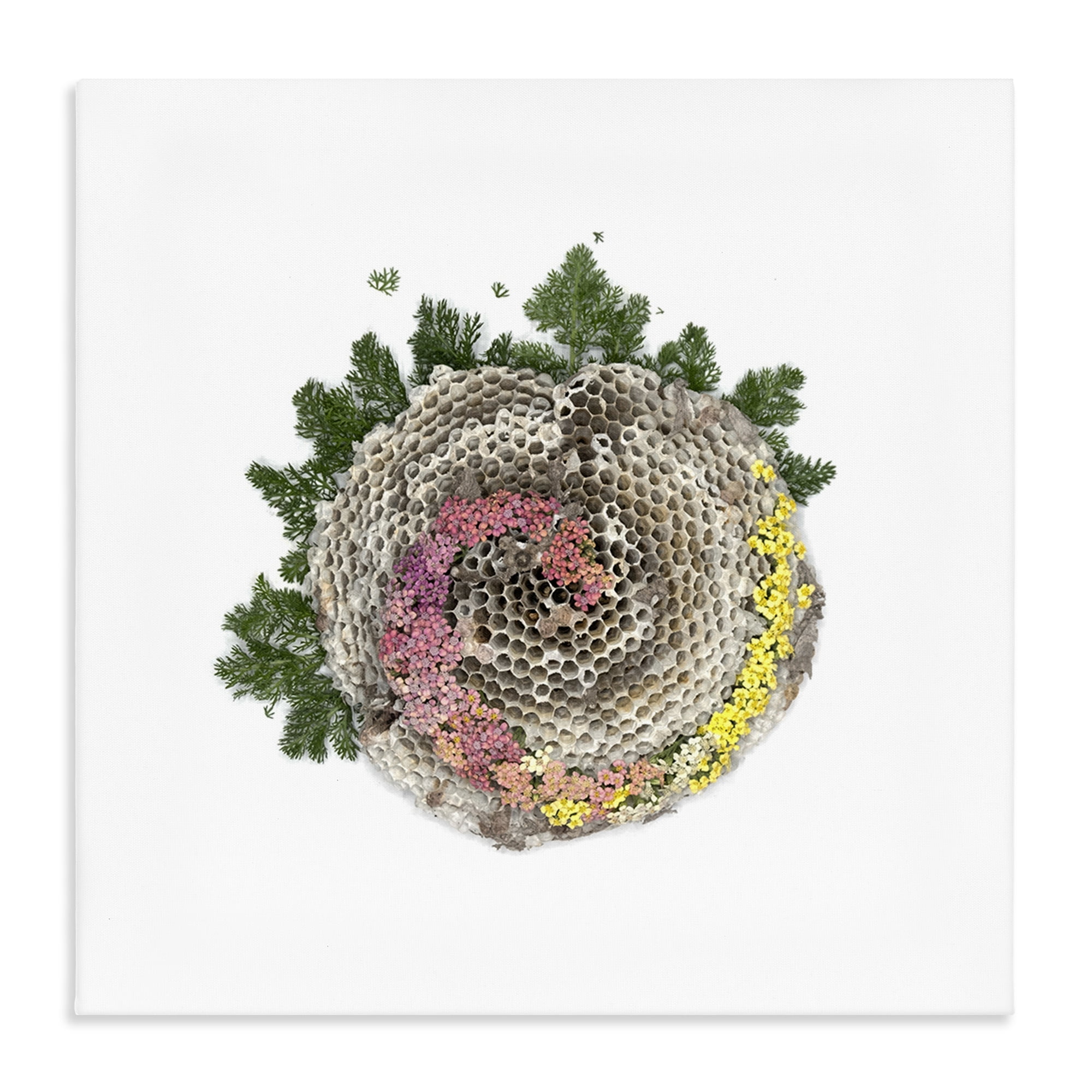 Stupell Industries Honeycomb with Botanicals Canvas Wall Art, design by Beth Adoette