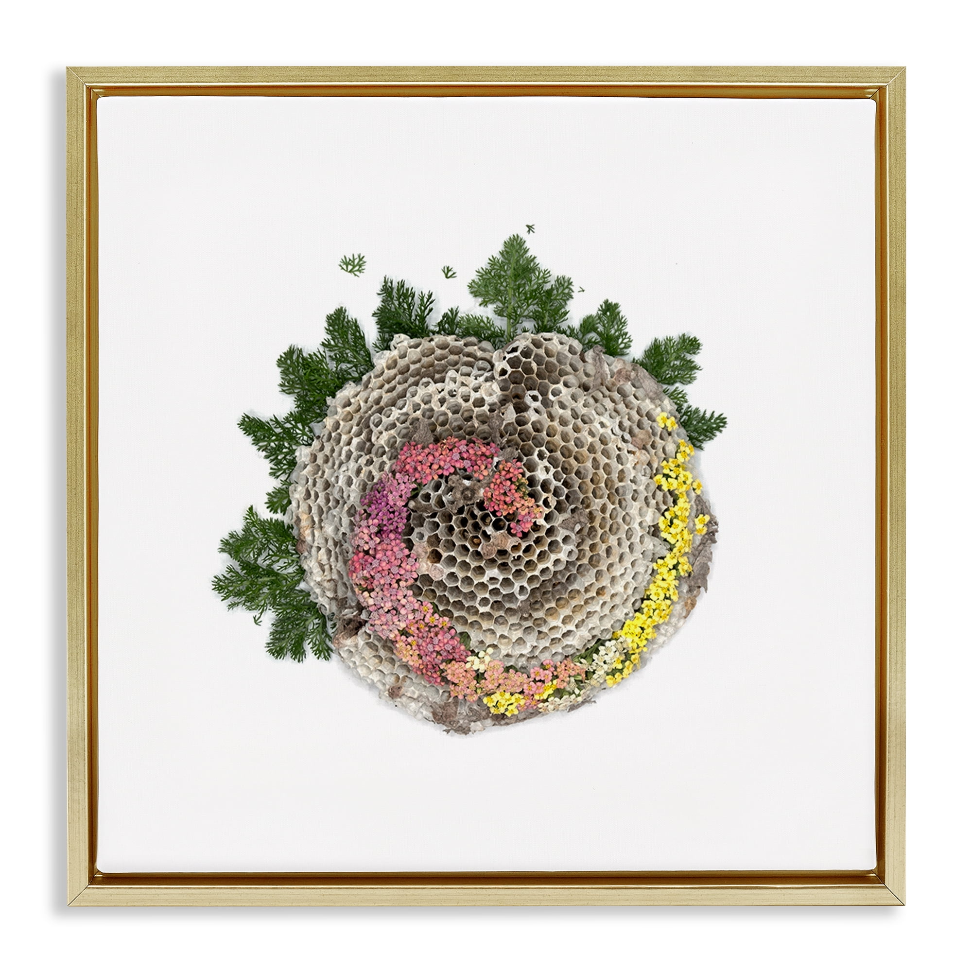 Stupell Industries Honeycomb with Botanicals Gold Framed Floater Canvas Wall Art, design by Beth Adoette