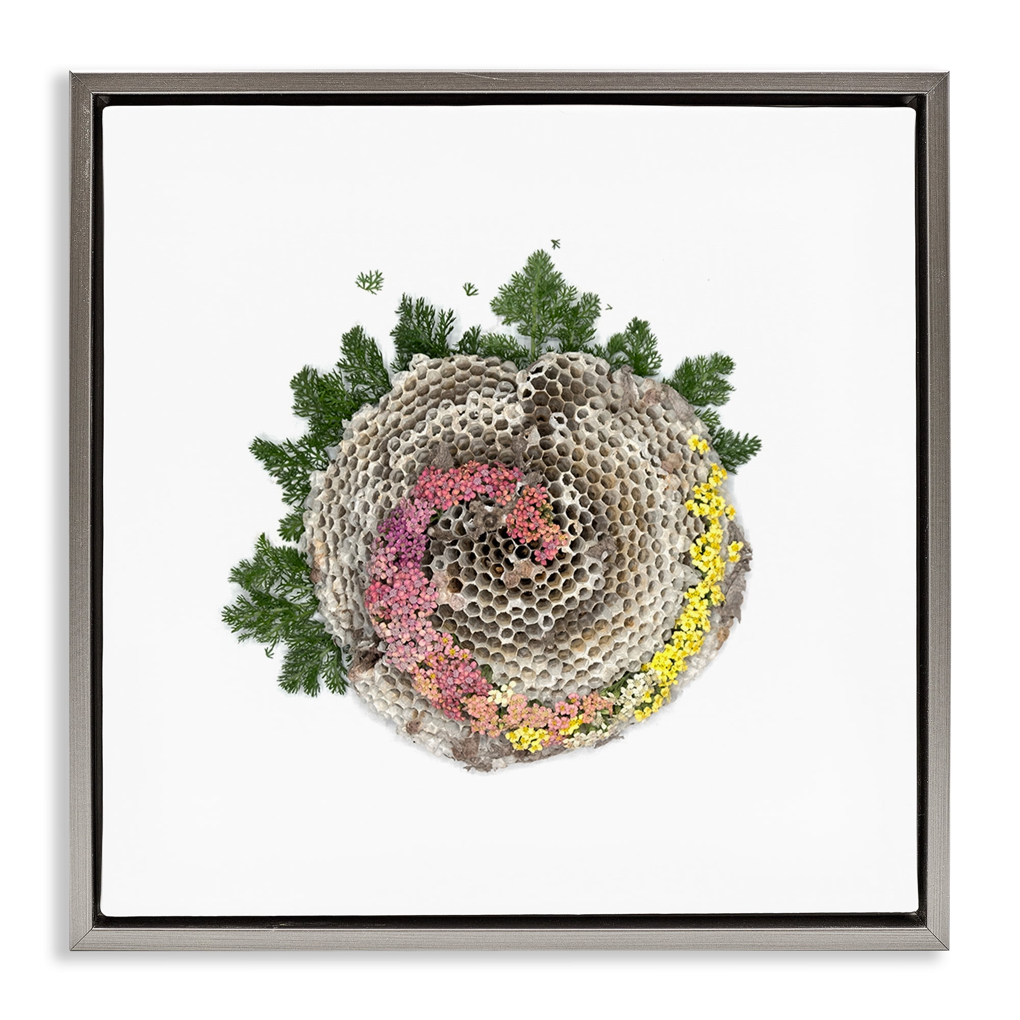 Stupell Industries Honeycomb with Botanicals Gray Framed Floater Canvas Wall Art, design by Beth Adoette