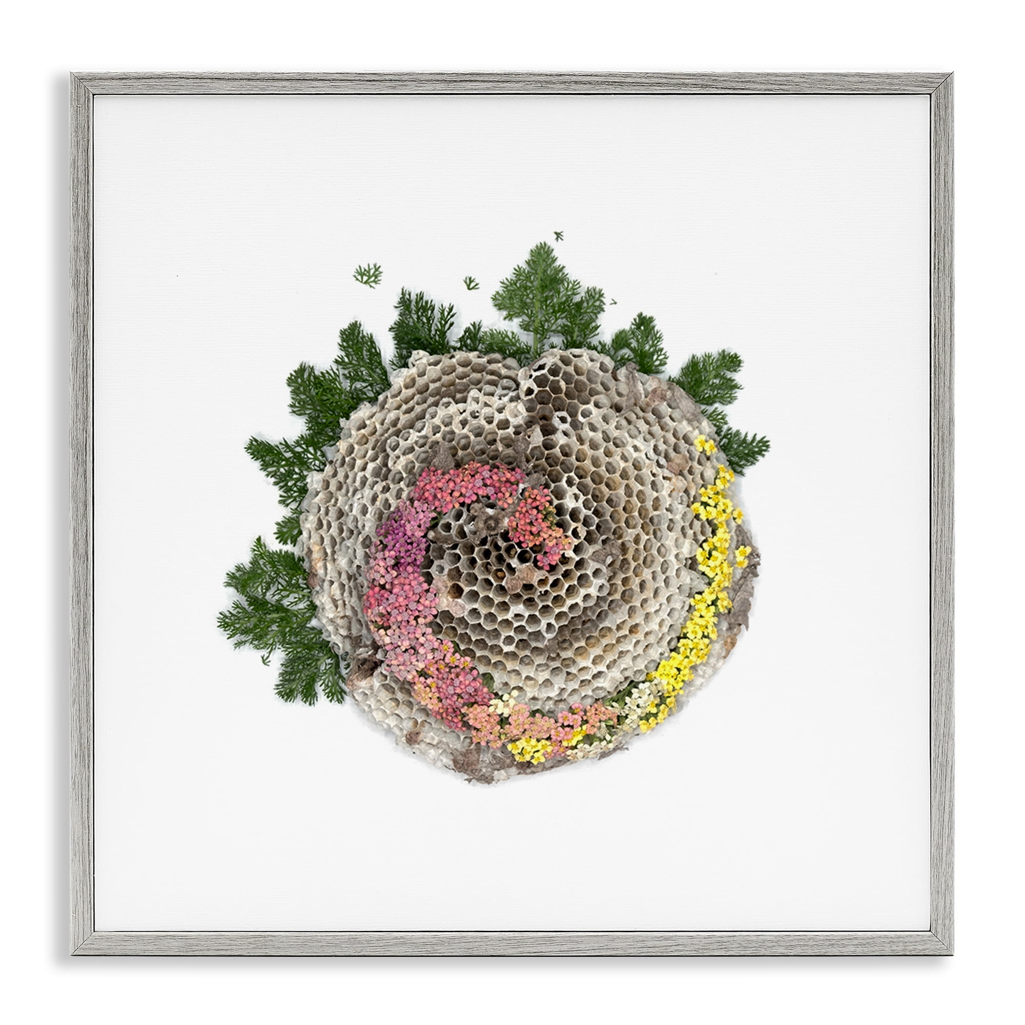 Stupell Industries Honeycomb with Botanicals Gray Framed Giclee Art, design by Beth Adoette