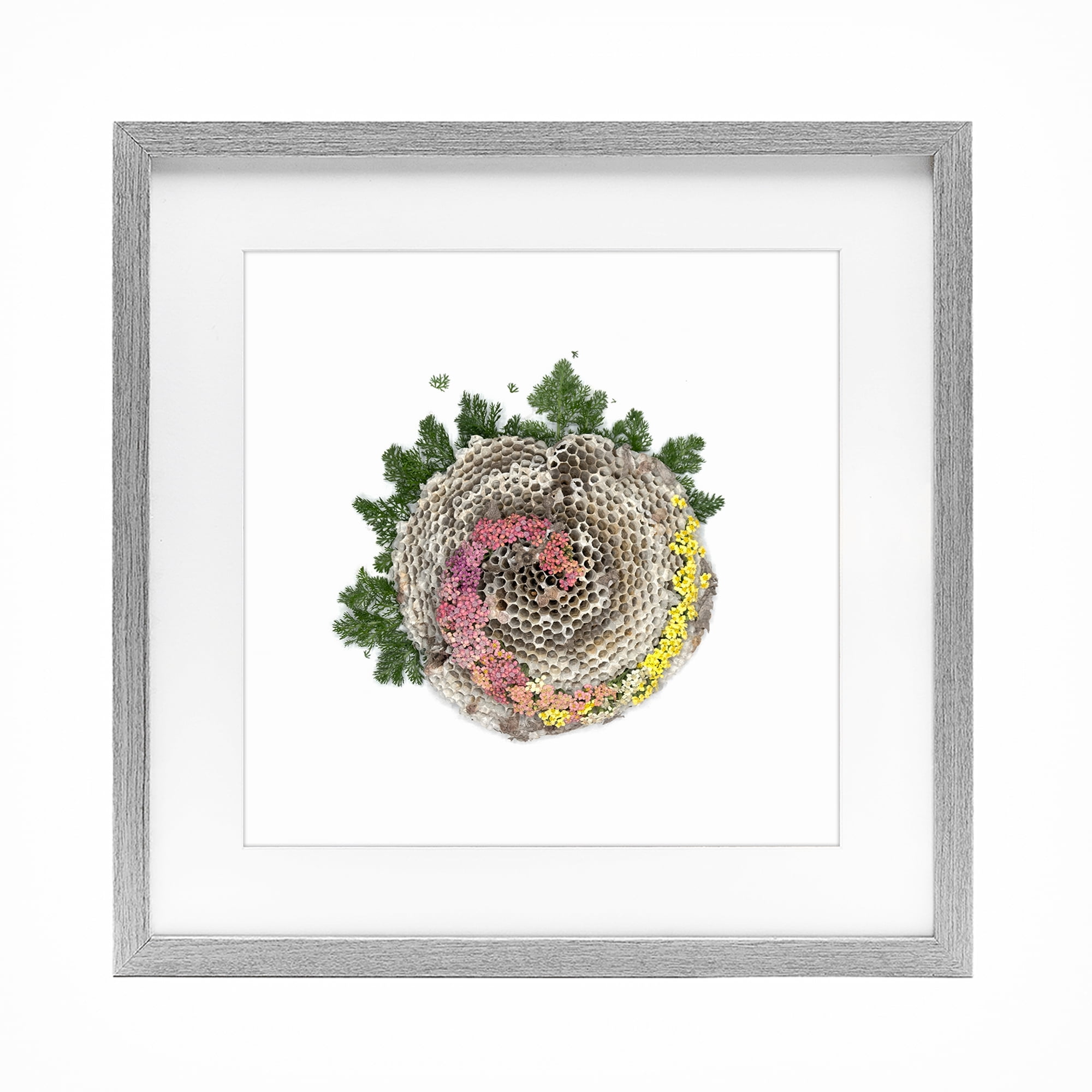 Stupell Industries Honeycomb with Botanicals Gray Framed Print Under Glass, design by Beth Adoette