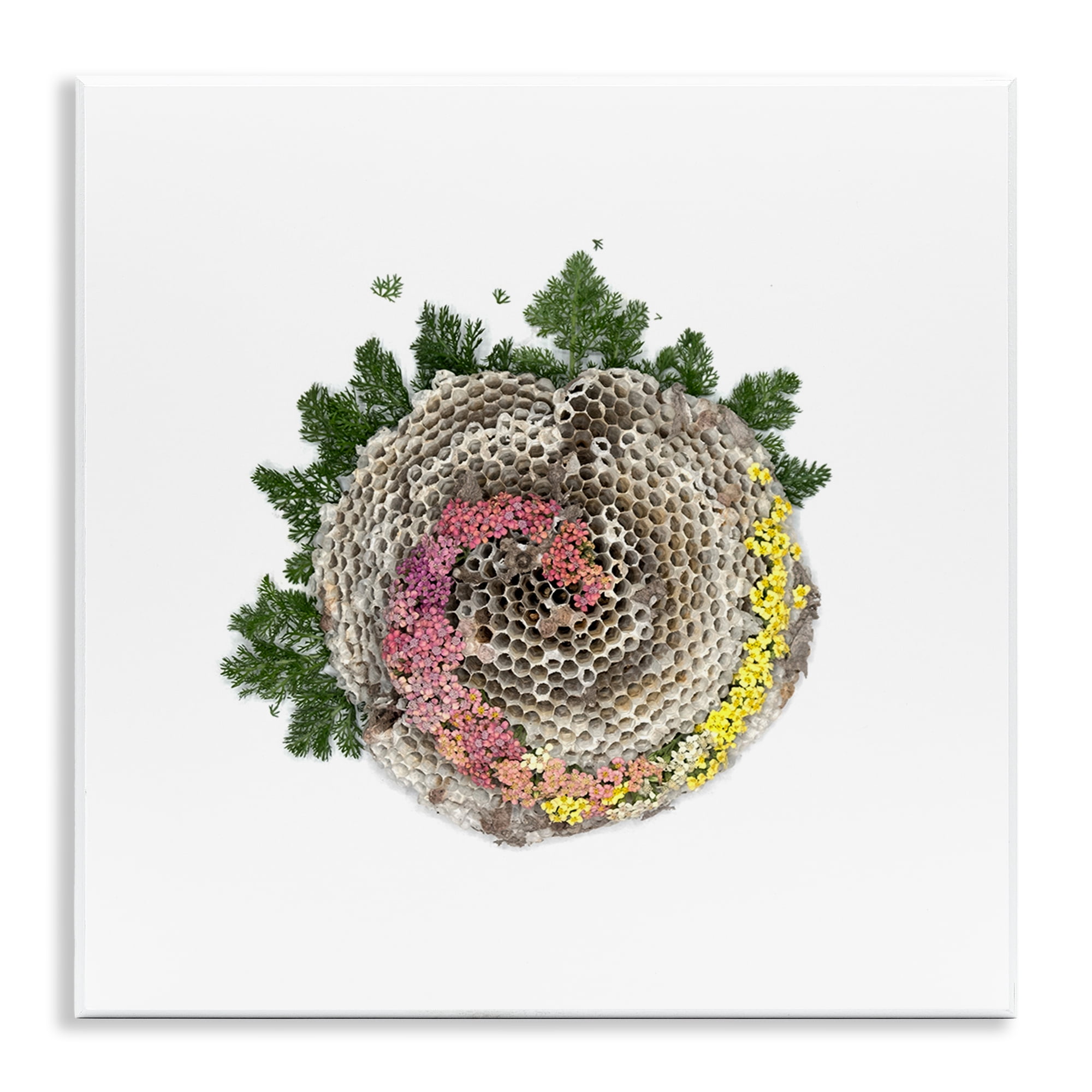 Stupell Industries Honeycomb with Botanicals Wall Plaque Art, design by Beth Adoette