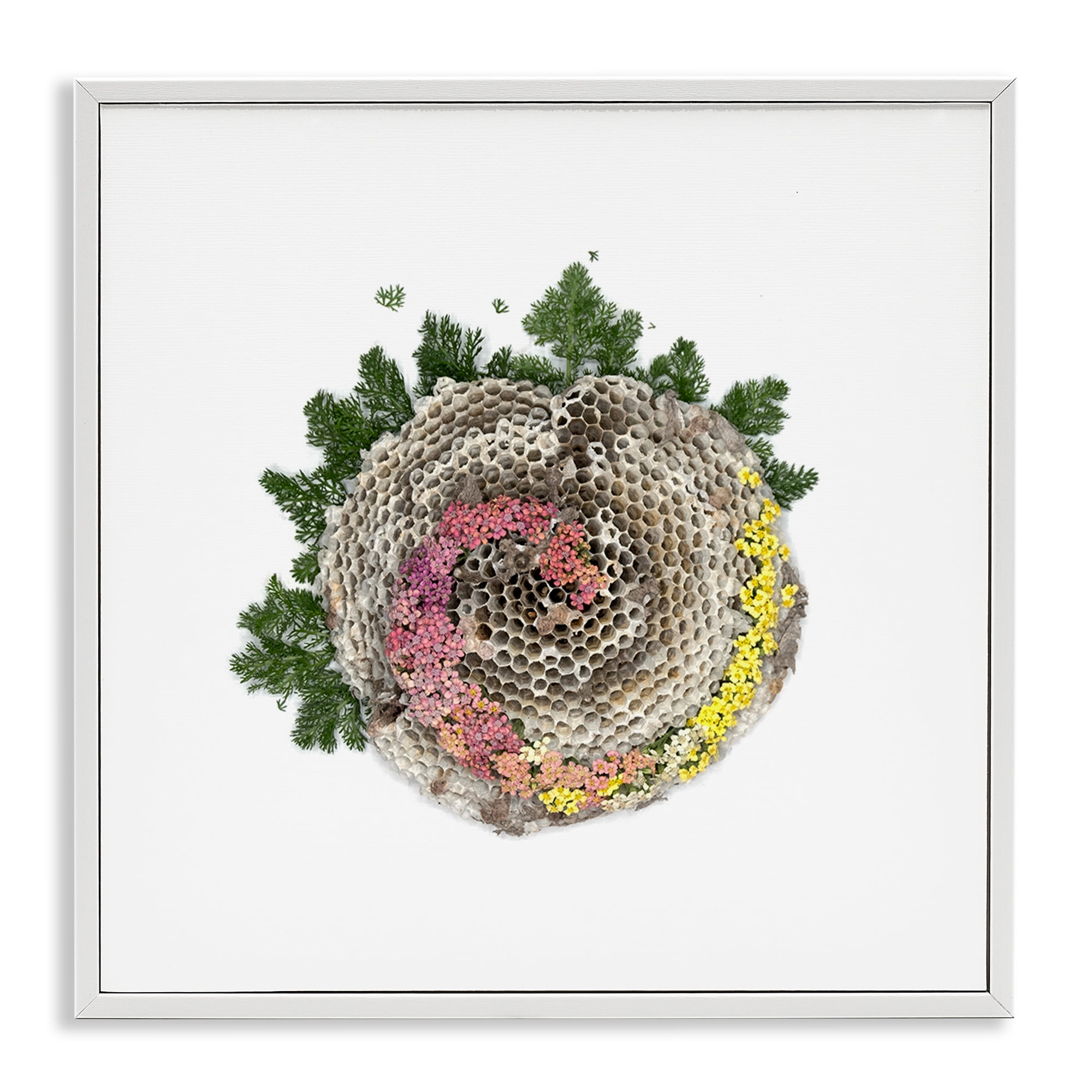 Stupell Industries Honeycomb with Botanicals White Framed Giclee Art, design by Beth Adoette