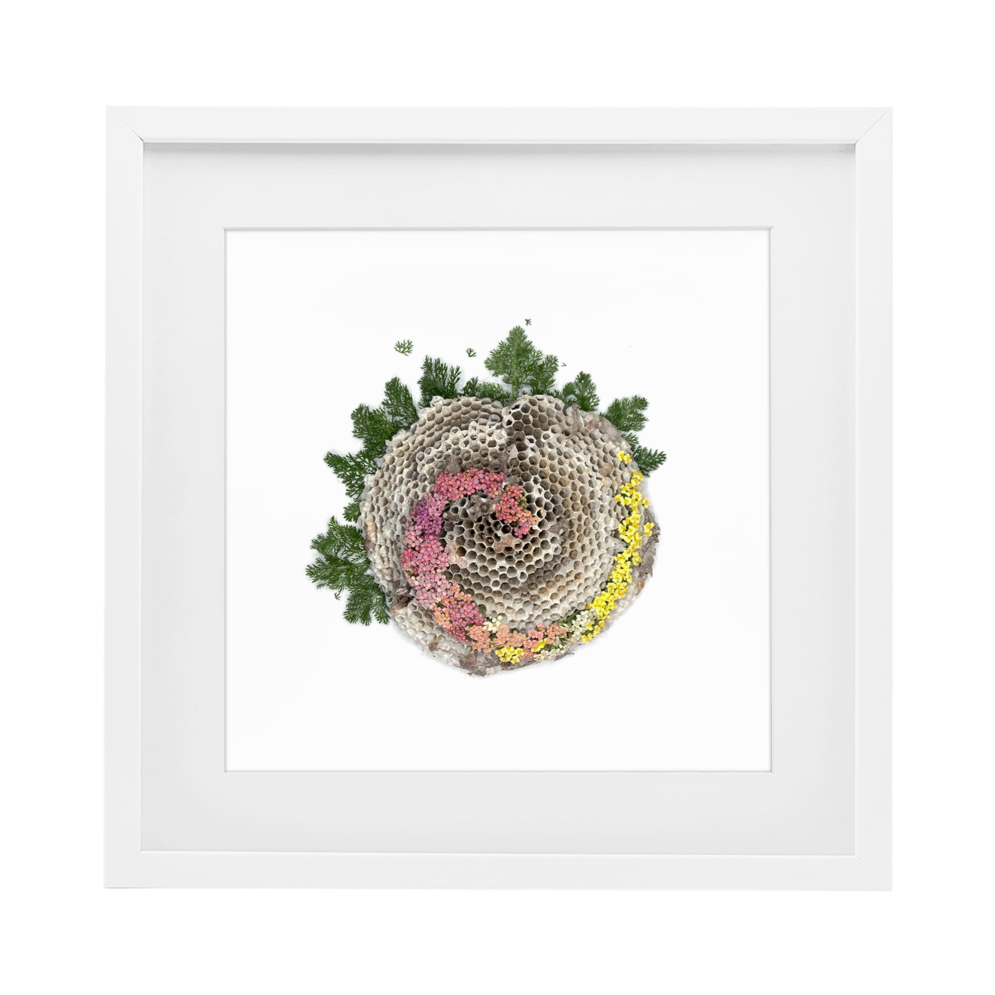 Stupell Industries Honeycomb with Botanicals White Framed Print Under Glass, design by Beth Adoette