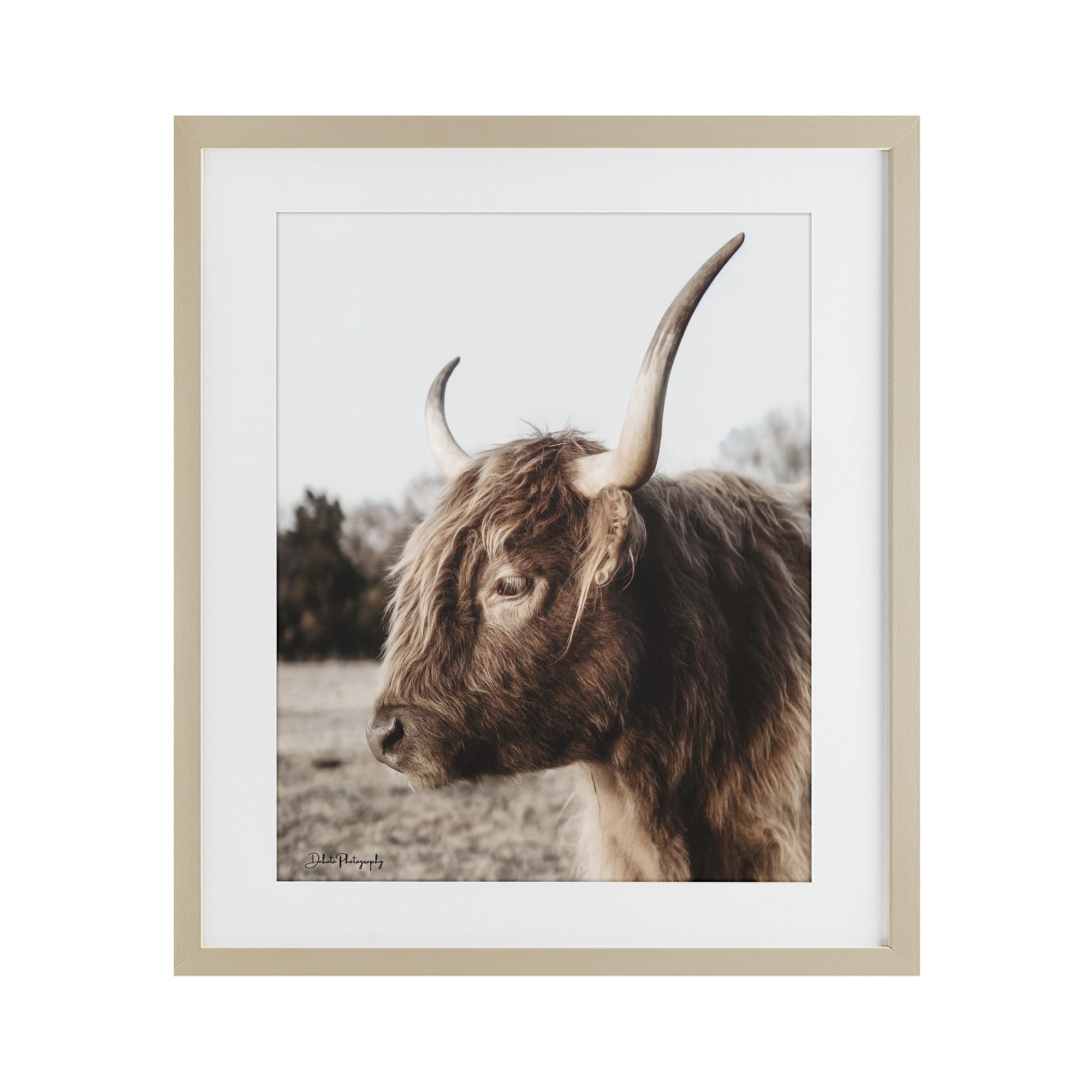 Stupell Industries Horned Cattle Peering Birch Framed Print Under Glass, design by Dakota Diener