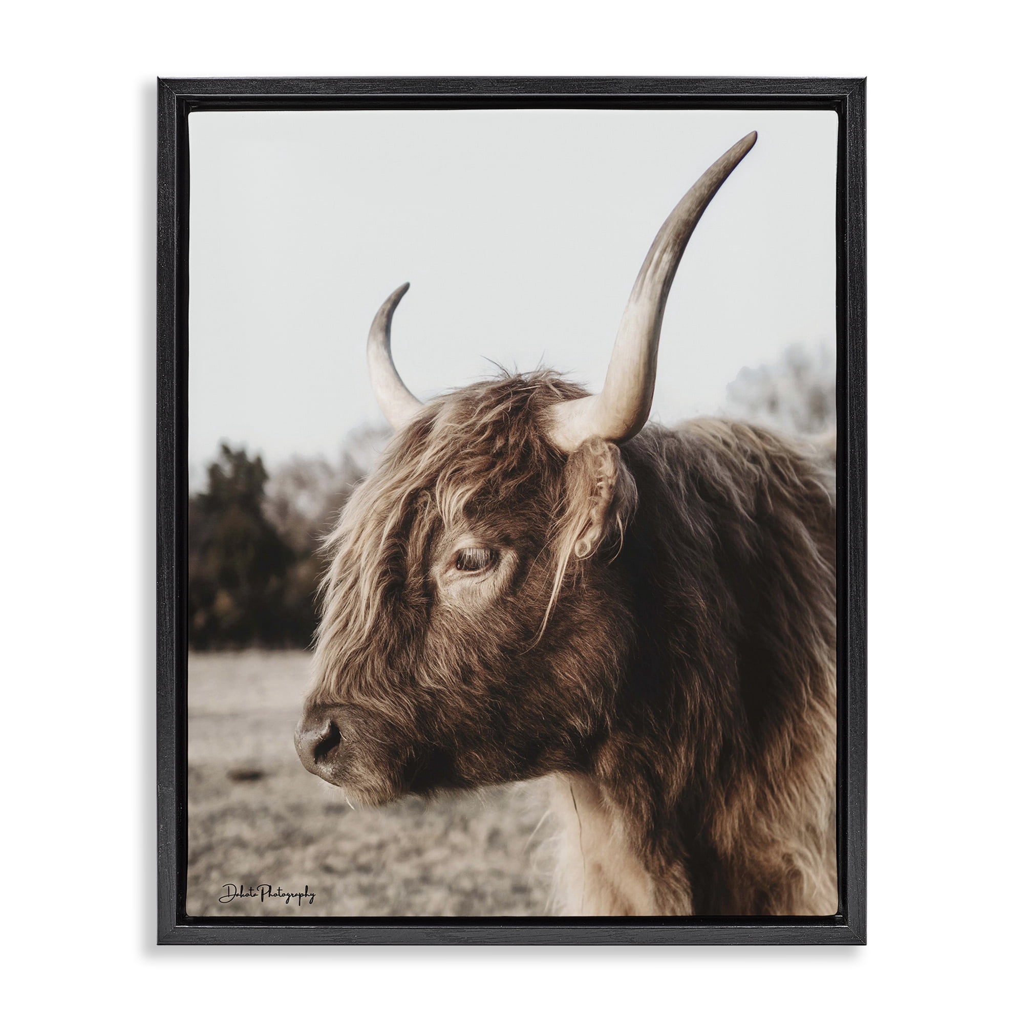 Stupell Industries Horned Cattle Peering Black Framed Floater Canvas Wall Art, design by Dakota Diener