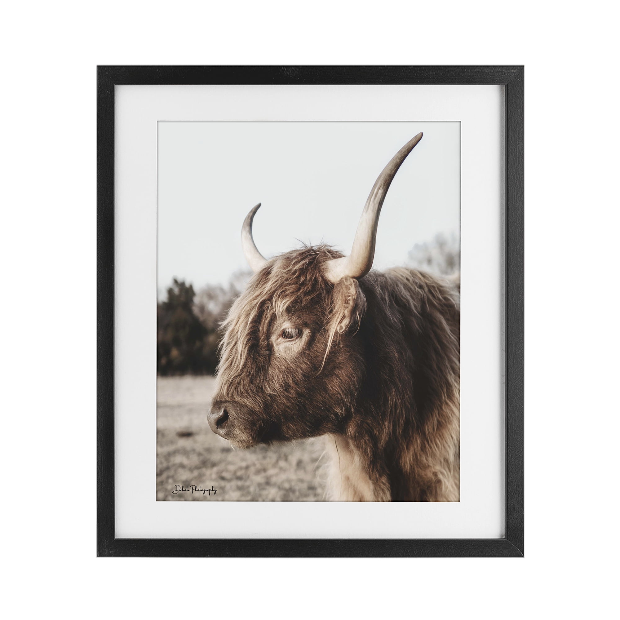 Stupell Industries Horned Cattle Peering Black Framed Print Under Glass, design by Dakota Diener