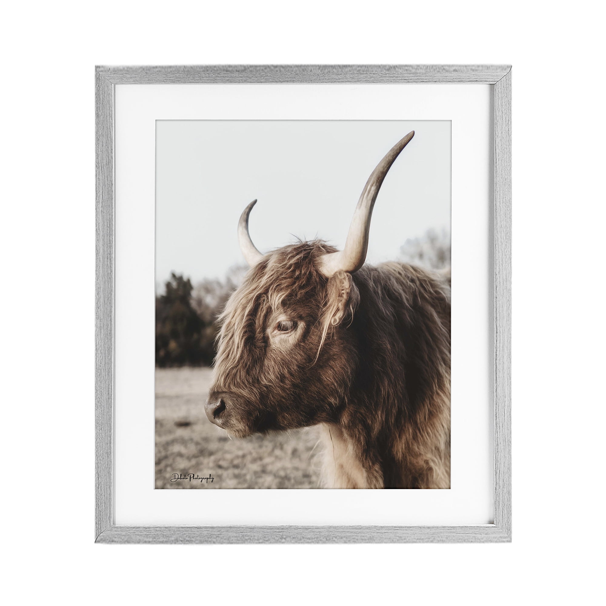Stupell Industries Horned Cattle Peering Gray Framed Print Under Glass, design by Dakota Diener
