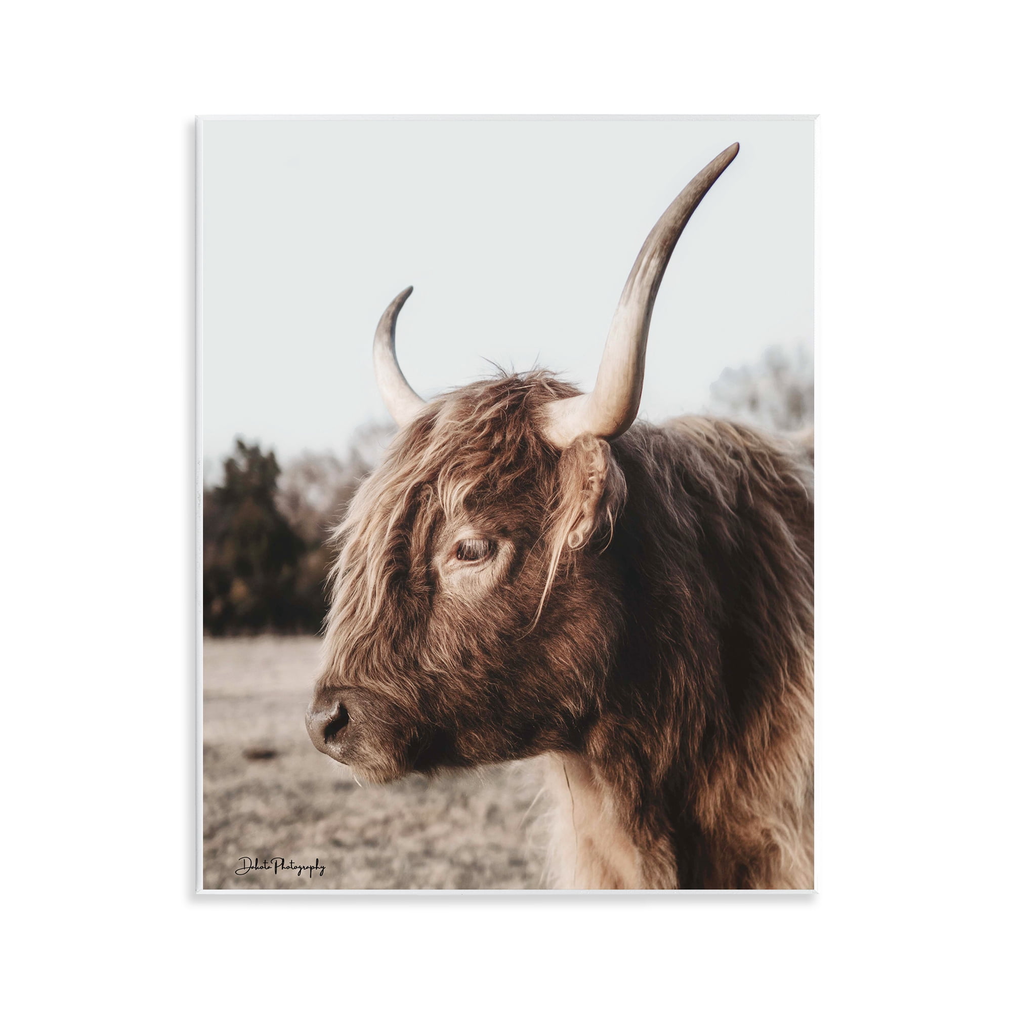 Stupell Industries Horned Cattle Peering Wall Plaque Art, design by Dakota Diener