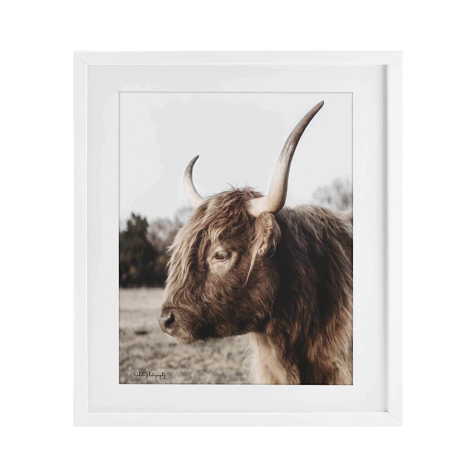 Stupell Industries Horned Cattle Peering White Framed Print Under Glass, design by Dakota Diener
