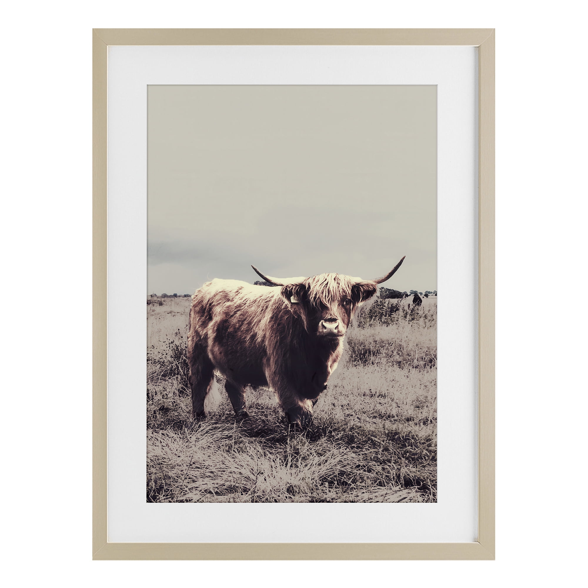 Stupell Industries Horned Cattle in Pasture Birch Framed Print Under Glass, design by SD Graphics Studio