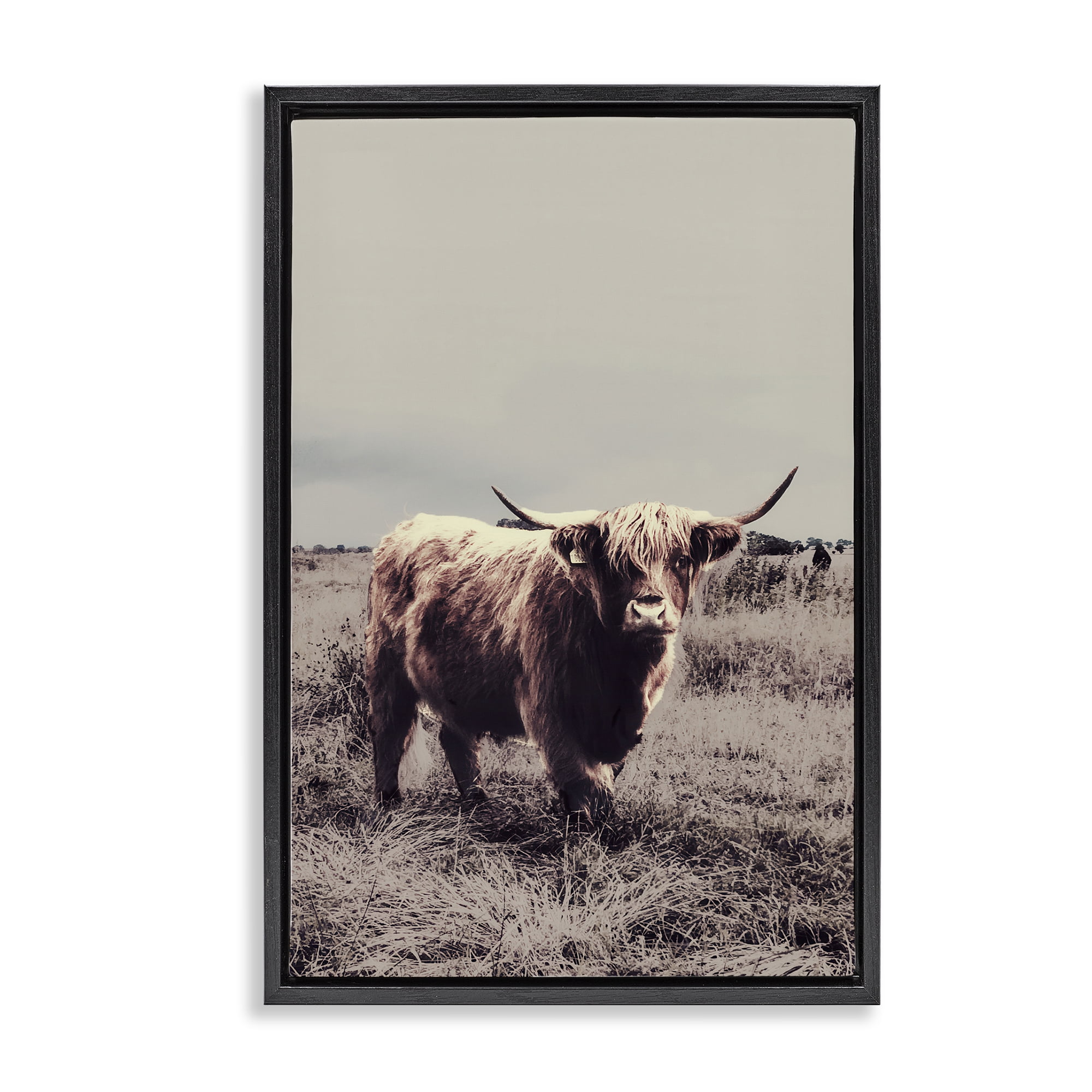 Stupell Industries Horned Cattle in Pasture Black Framed Floater Canvas Wall Art, design by SD Graphics Studio