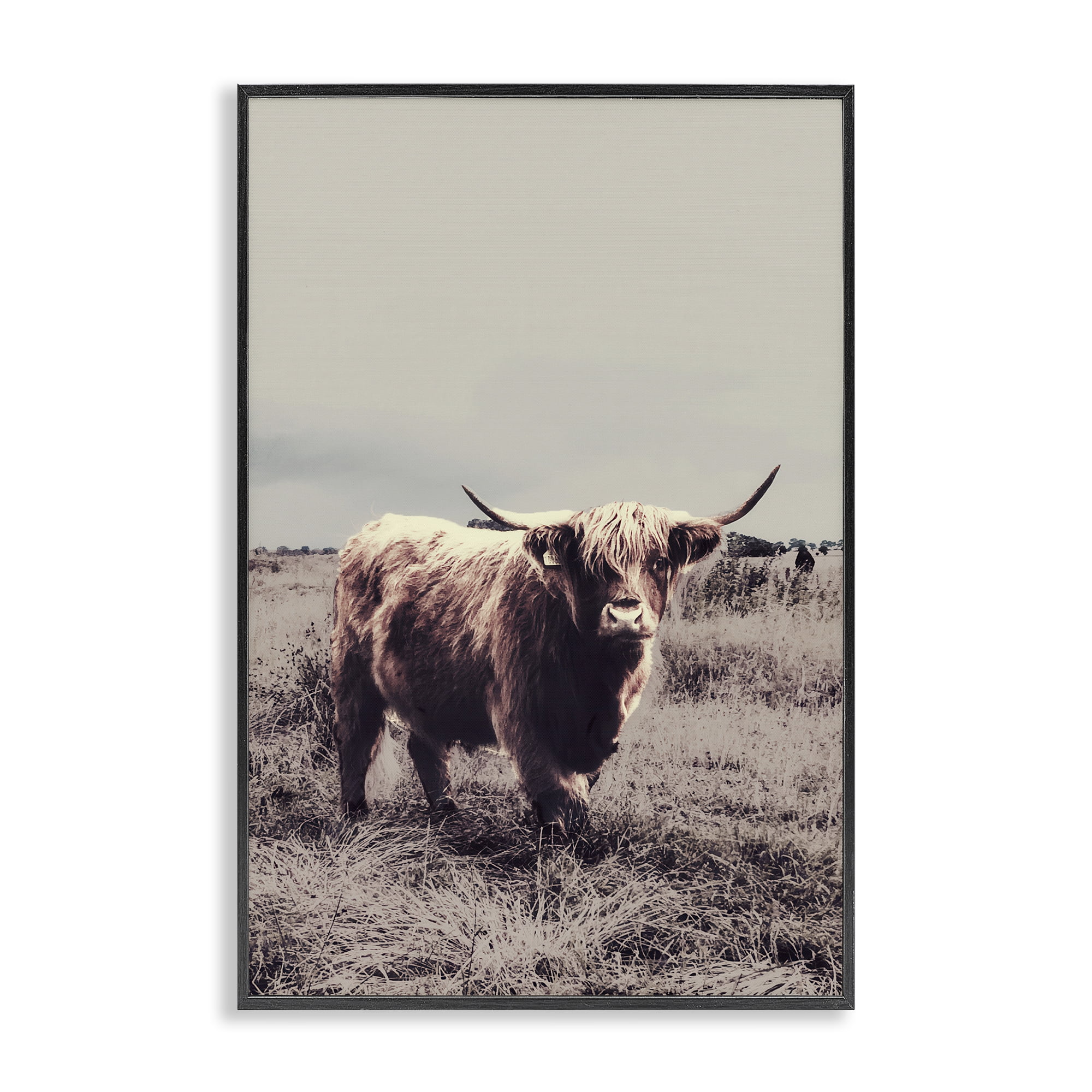 Stupell Industries Horned Cattle in Pasture Black Framed Giclee Art, design by SD Graphics Studio