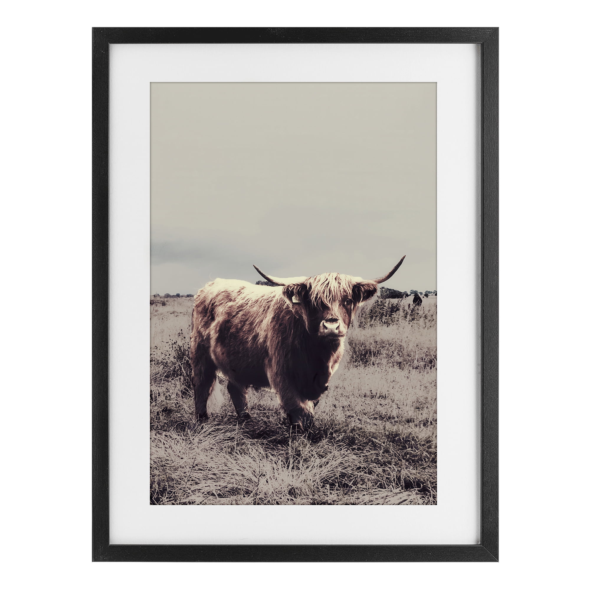 Stupell Industries Horned Cattle in Pasture Black Framed Print Under Glass, design by SD Graphics Studio