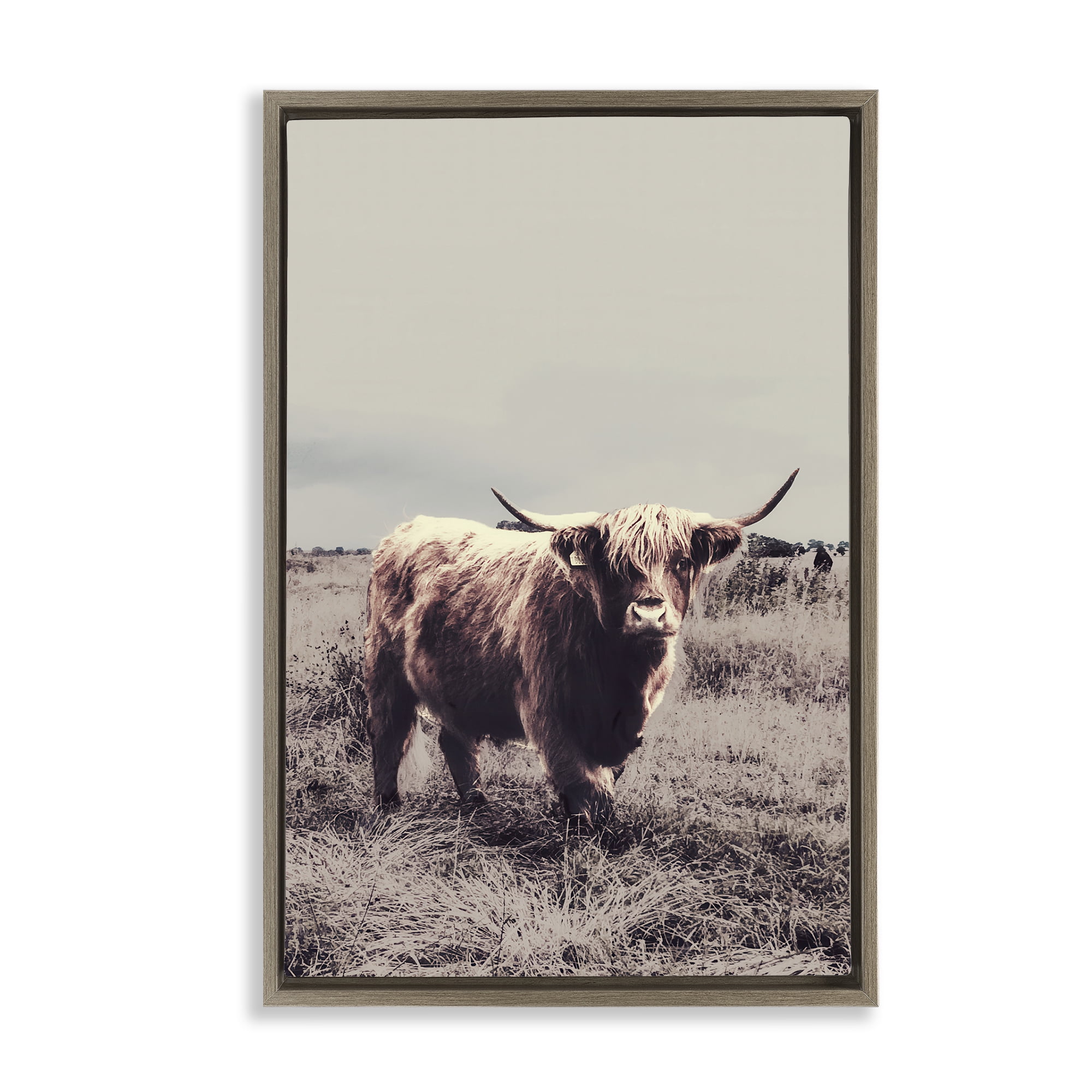 Stupell Industries Horned Cattle in Pasture Brown Framed Floater Canvas Wall Art, design by SD Graphics Studio