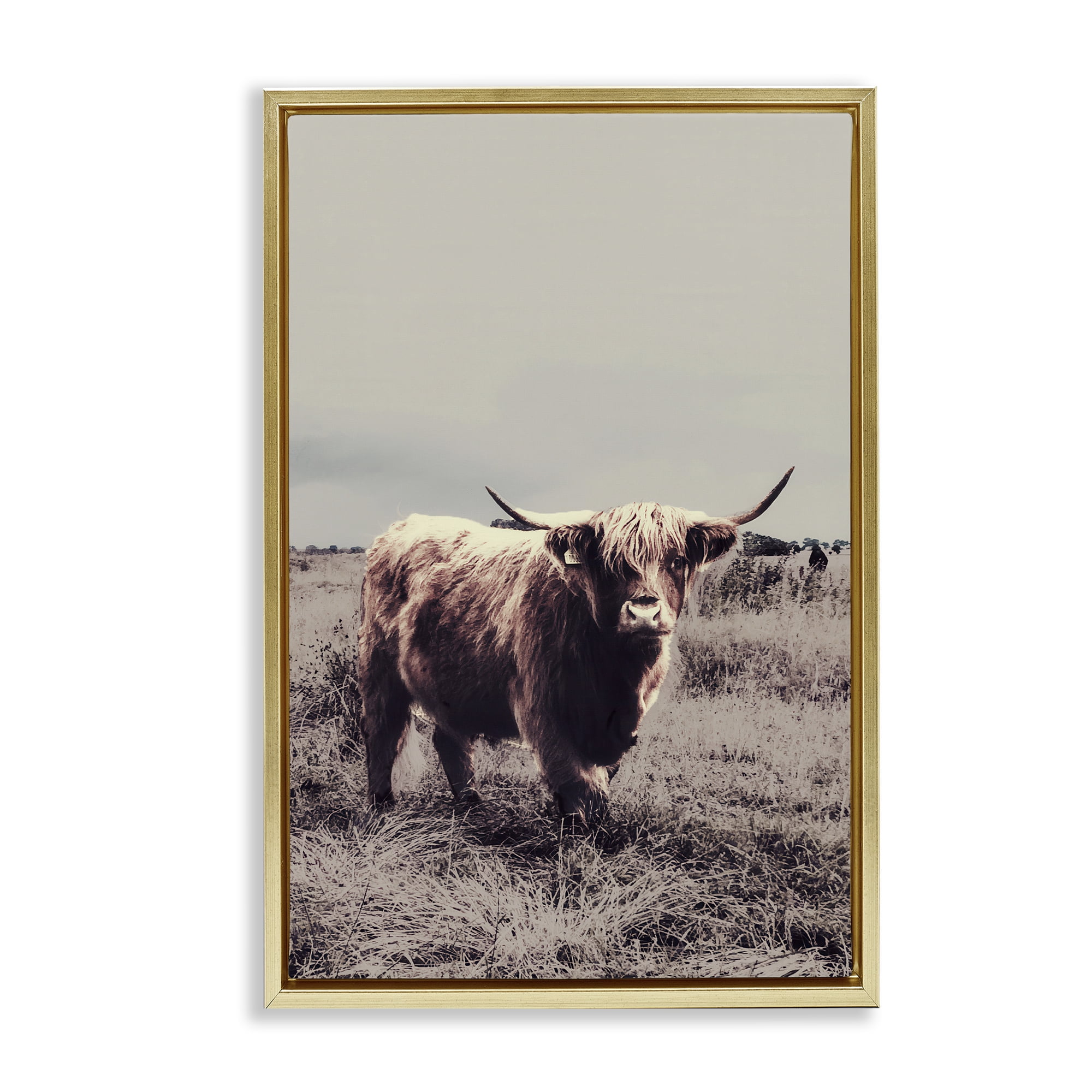 Stupell Industries Horned Cattle in Pasture Gold Framed Floater Canvas Wall Art, design by SD Graphics Studio