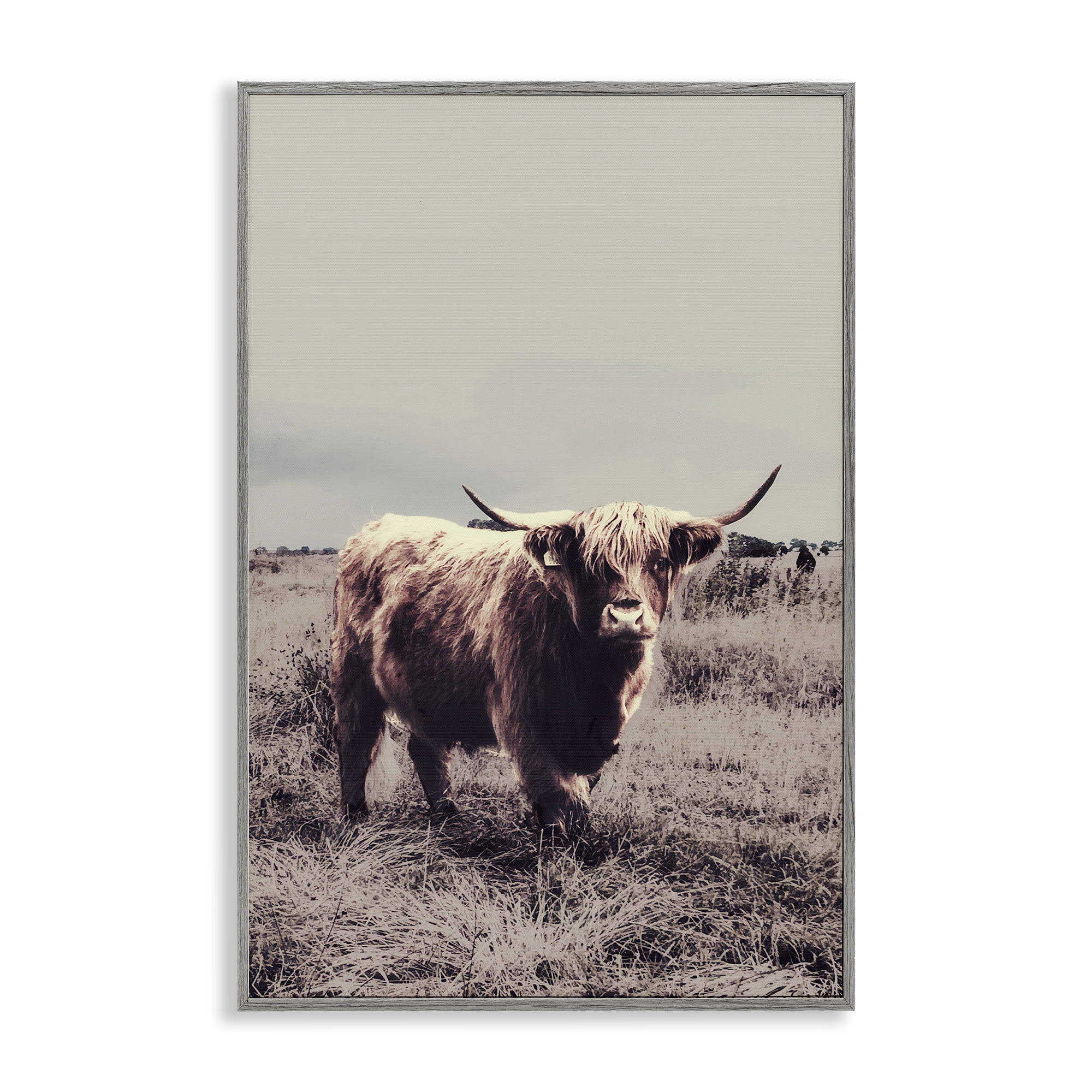 Stupell Industries Horned Cattle in Pasture Gray Framed Giclee Art, design by SD Graphics Studio
