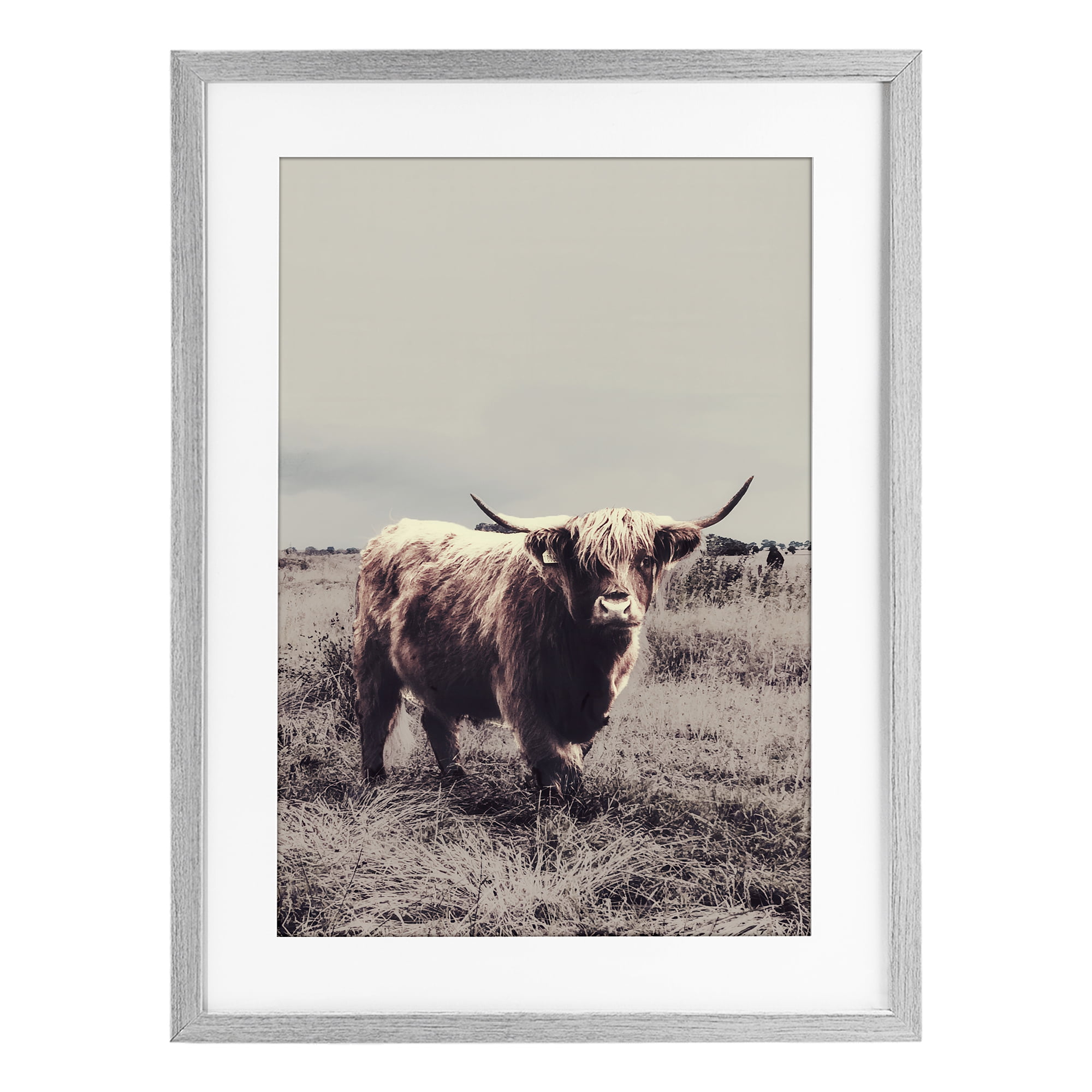 Stupell Industries Horned Cattle in Pasture Gray Framed Print Under Glass, design by SD Graphics Studio