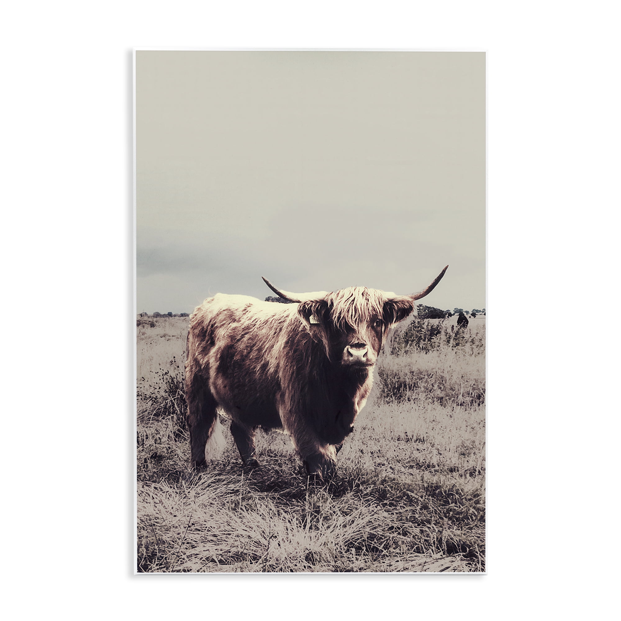 Stupell Industries Horned Cattle in Pasture Wall Plaque Art, design by SD Graphics Studio