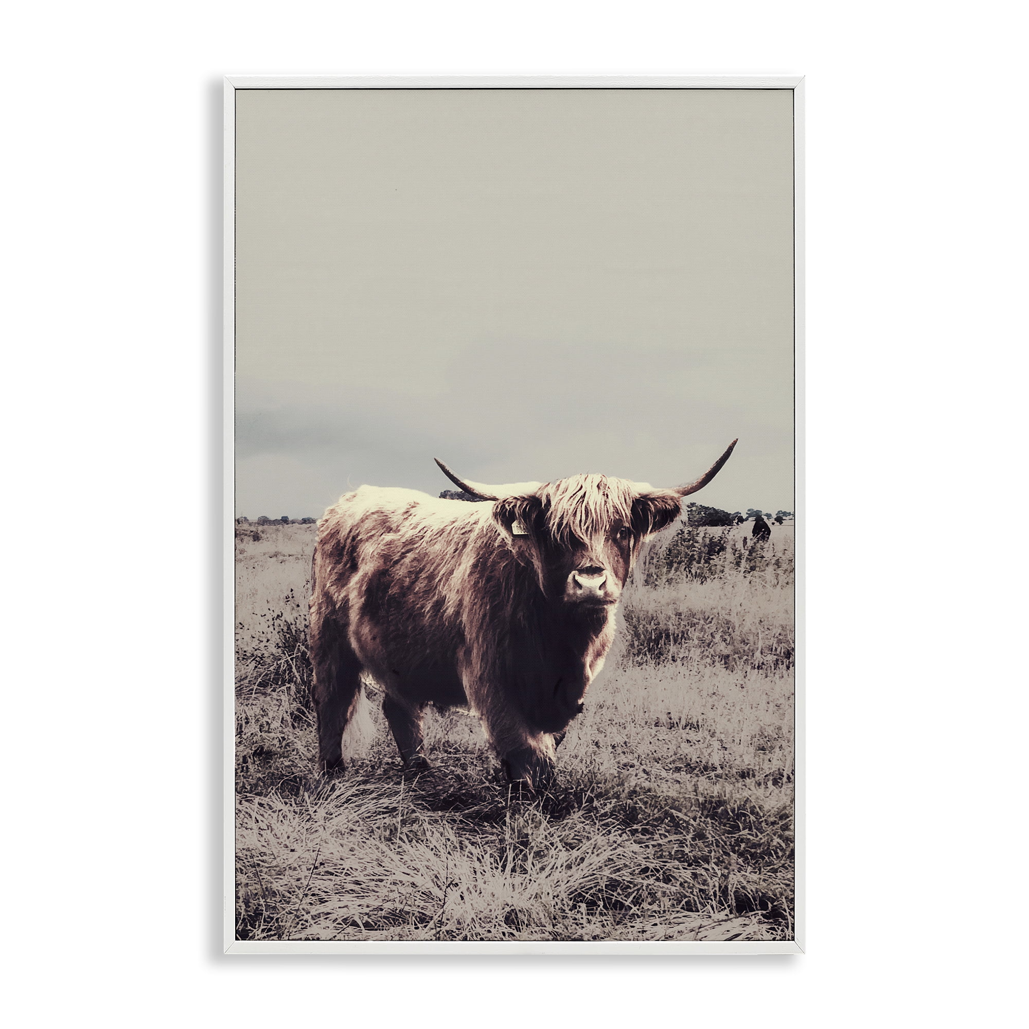 Stupell Industries Horned Cattle in Pasture White Framed Giclee Art, design by SD Graphics Studio