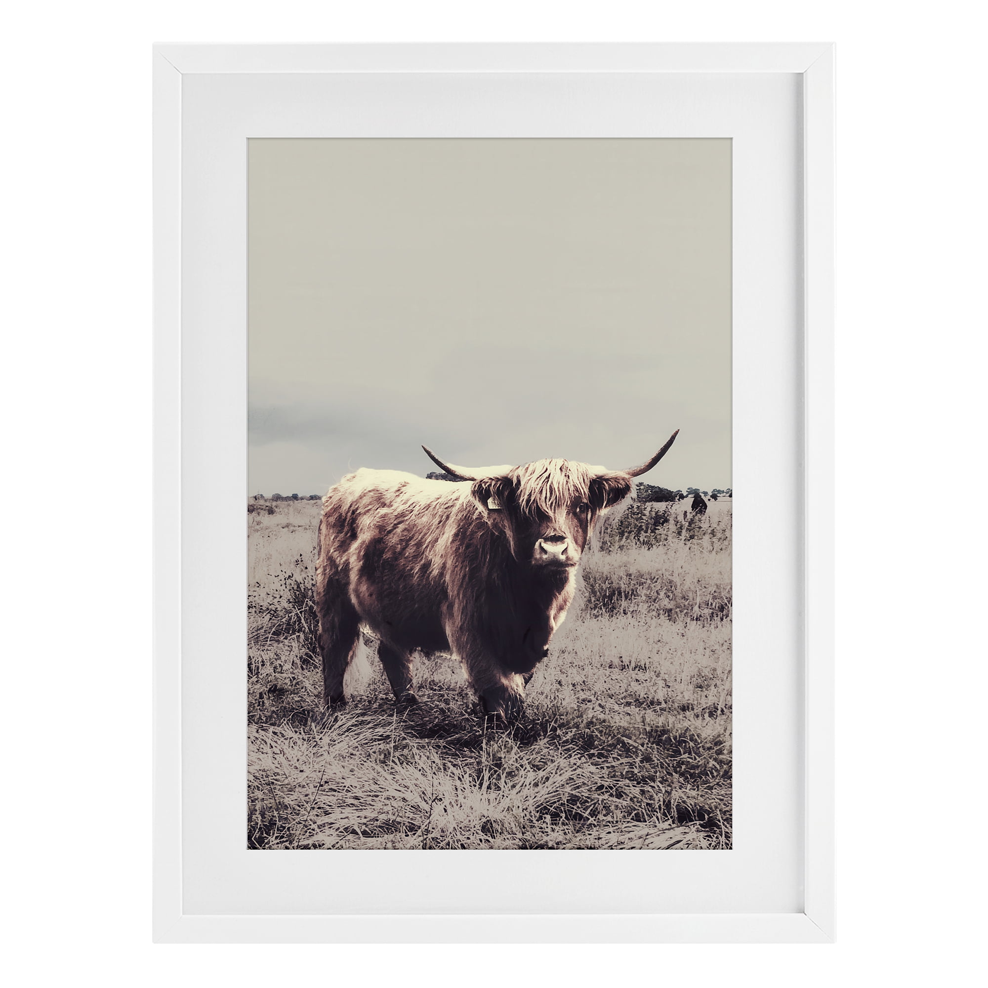 Stupell Industries Horned Cattle in Pasture White Framed Print Under Glass, design by SD Graphics Studio