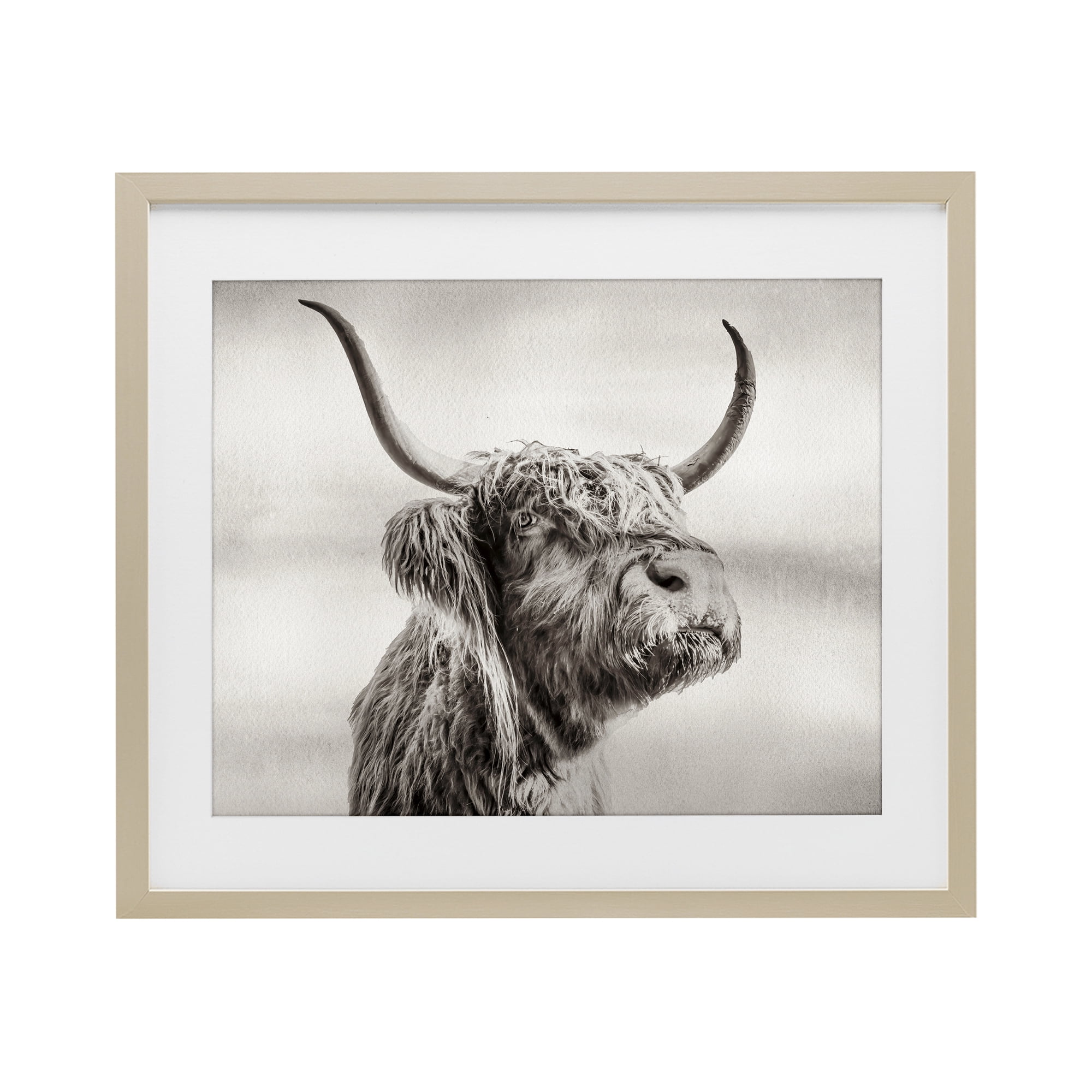 Stupell Industries Horned Highland Cow Gazing Birch Framed Print Under Glass, design by Julia Frost