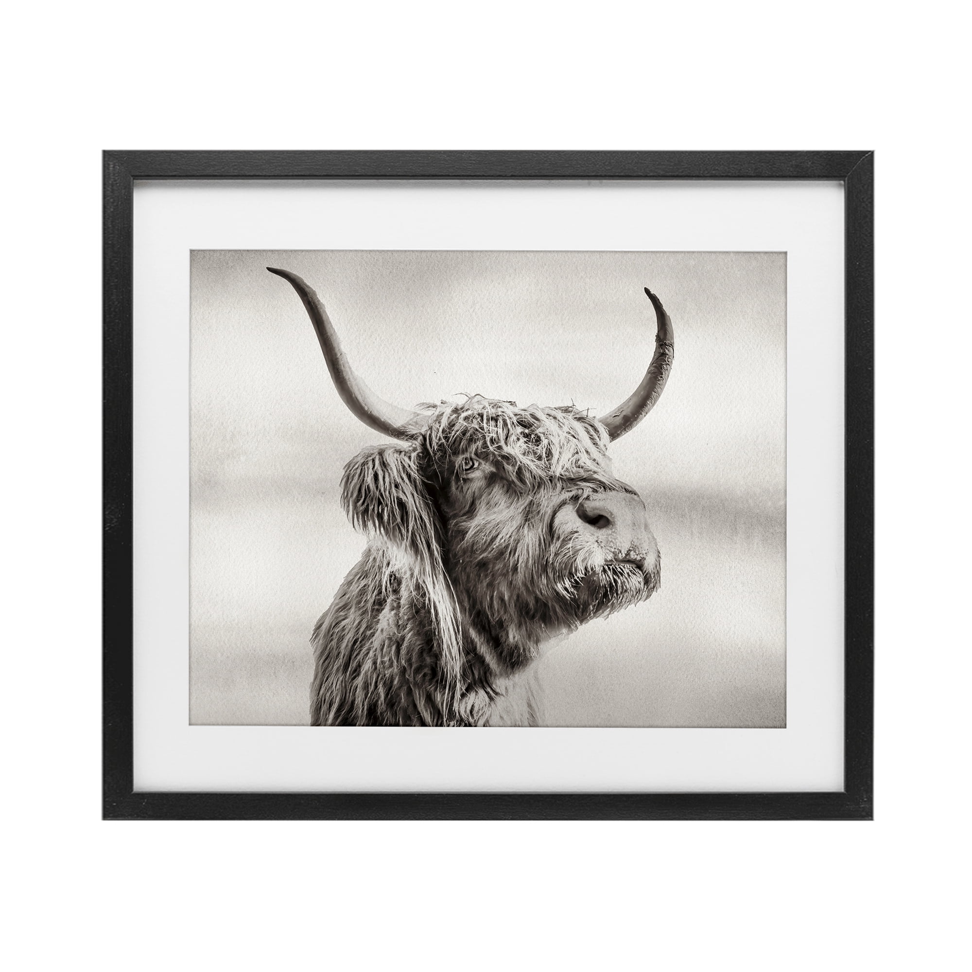 Stupell Industries Horned Highland Cow Gazing Black Framed Print Under Glass, design by Julia Frost