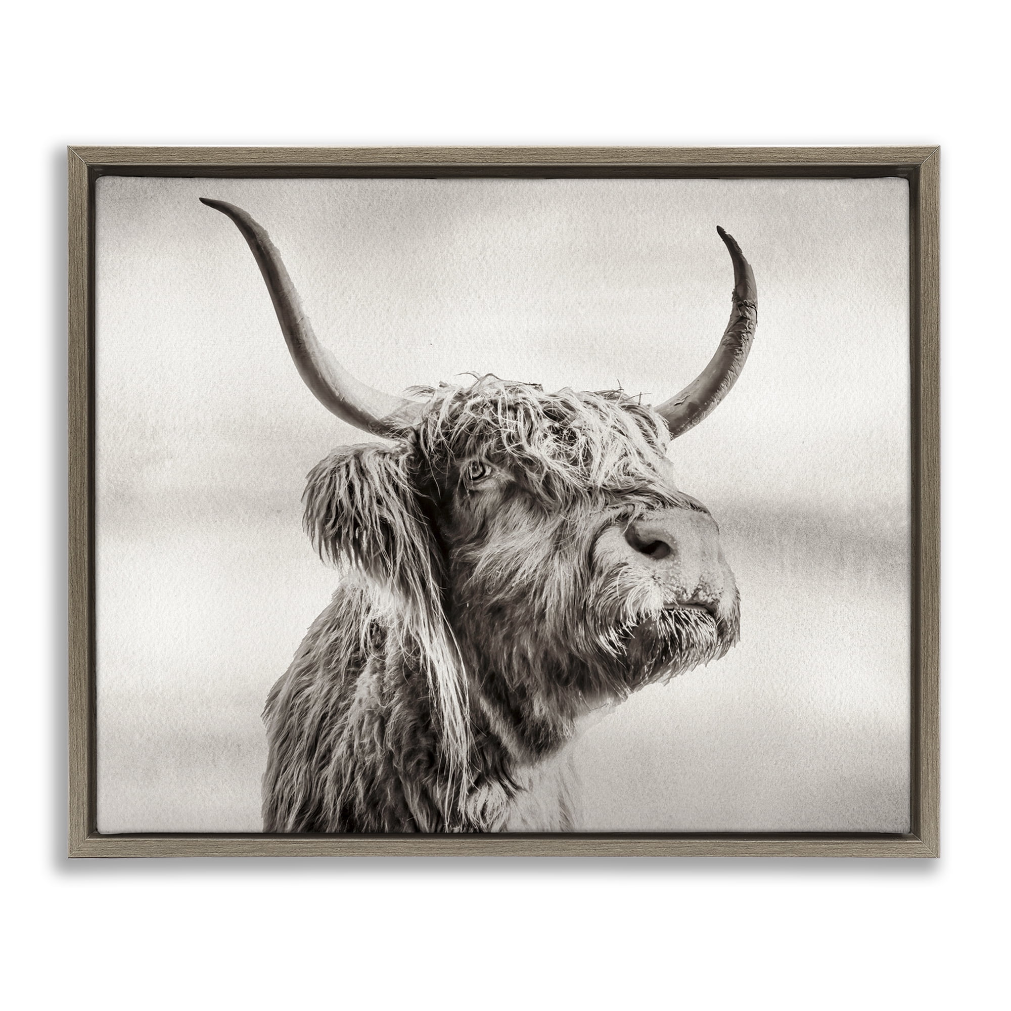 Stupell Industries Horned Highland Cow Gazing Brown Framed Floater Canvas Wall Art, design by Julia Frost