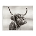 thumbnail image 1 of Stupell Industries Rustic Lodge Horned Highland Cow Gazing Canvas Art, 20 x 16, by Julia Frost, 1 of 8
