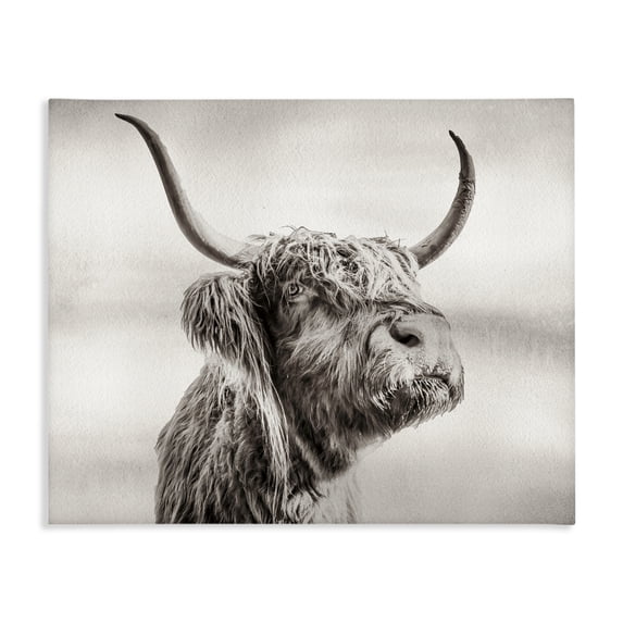 Stupell Industries Rustic Lodge Horned Highland Cow Gazing Canvas Art, 20 x 16, by Julia Frost