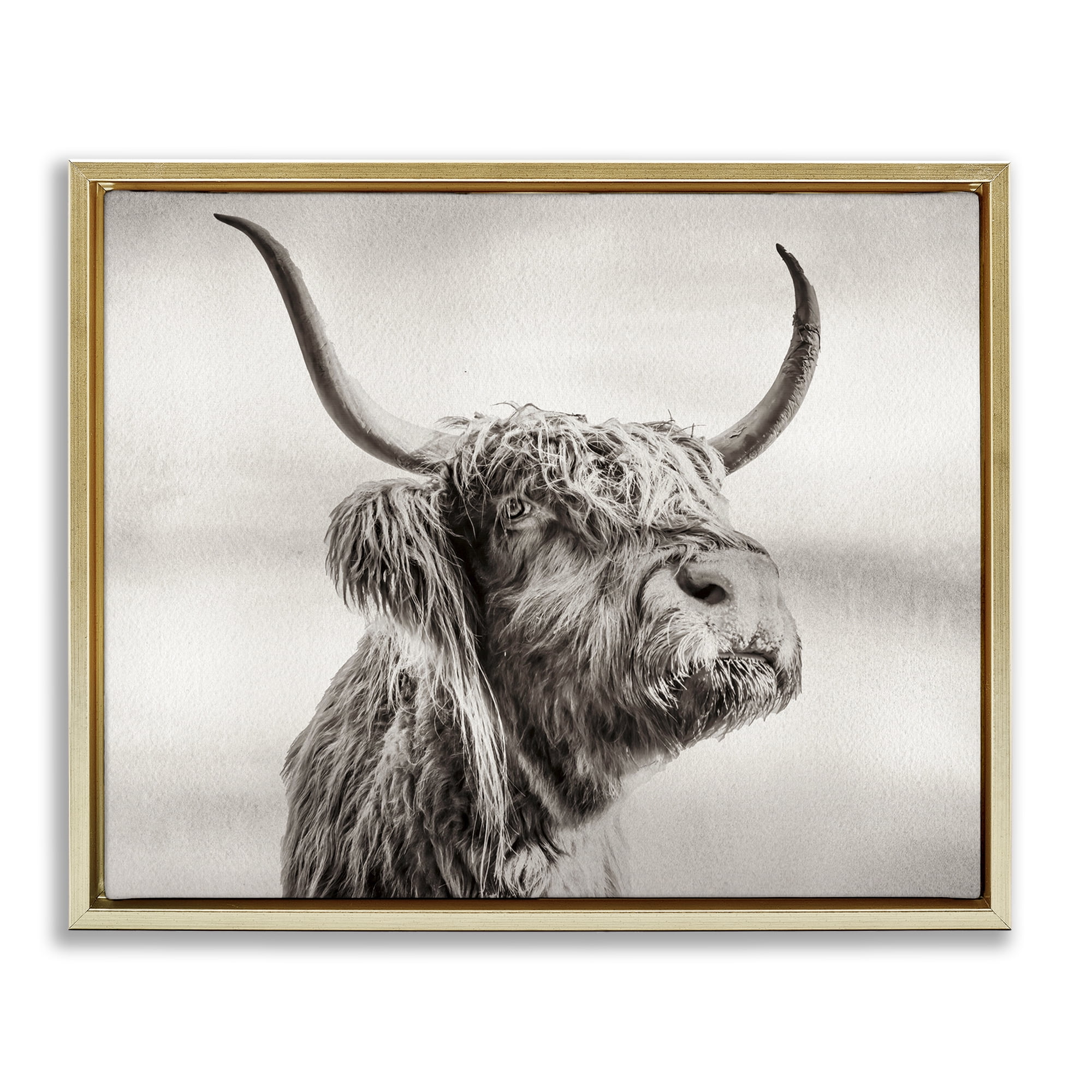 Stupell Industries Horned Highland Cow Gazing Gold Framed Floater Canvas Wall Art, design by Julia Frost