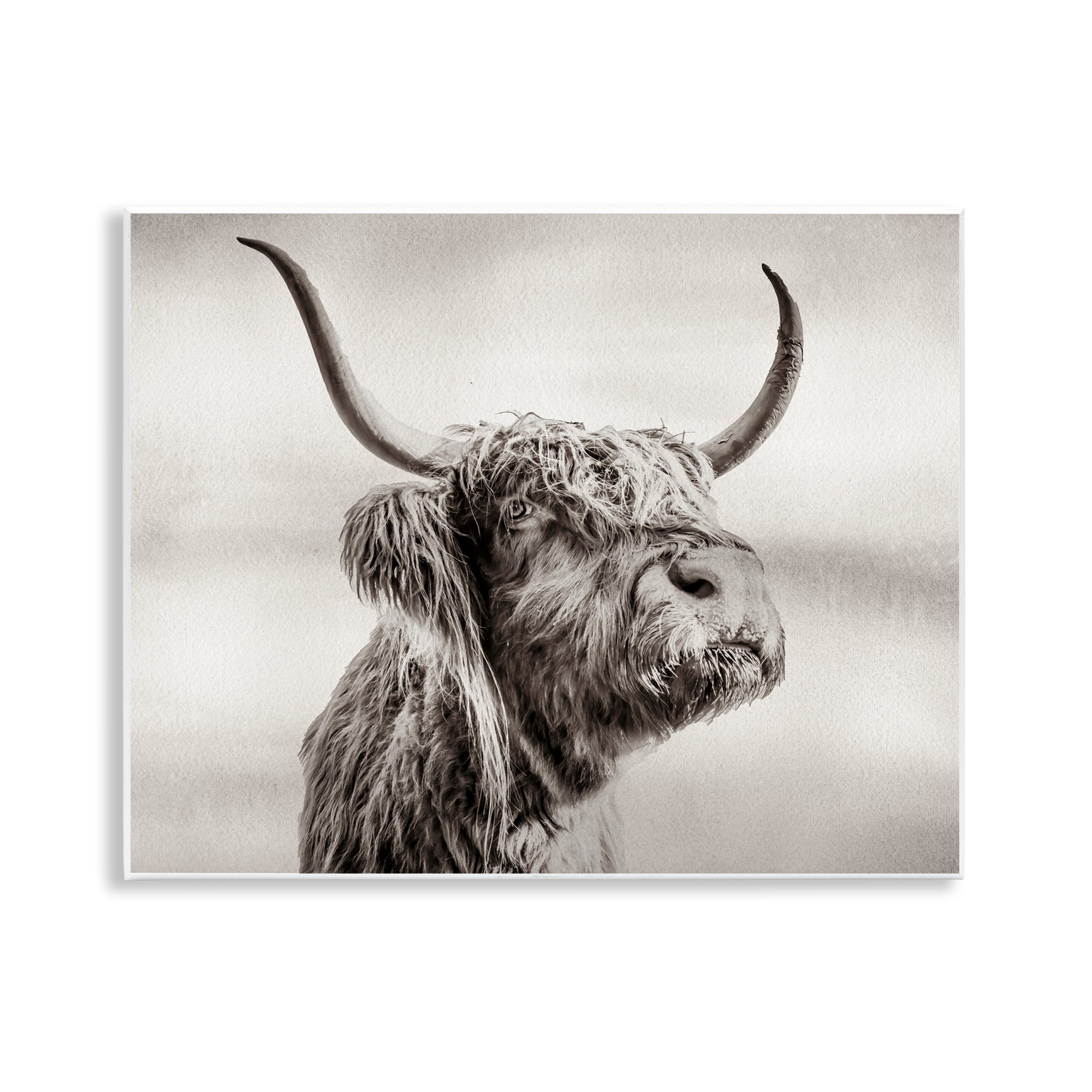 Stupell Industries Horned Highland Cow Gazing Wall Plaque Art, design by Julia Frost