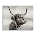 thumbnail image 1 of Stupell Industries Rustic Lodge Horned Highland Cow Gazing White Framed Giclee Art, 20 x 16, by Julia Frost, 1 of 8