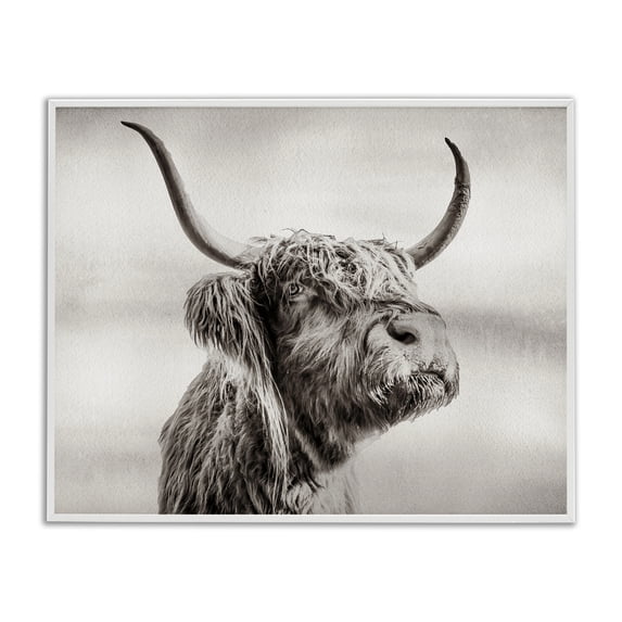 Stupell Industries Rustic Lodge Horned Highland Cow Gazing White Framed Giclee Art, 20 x 16, by Julia Frost