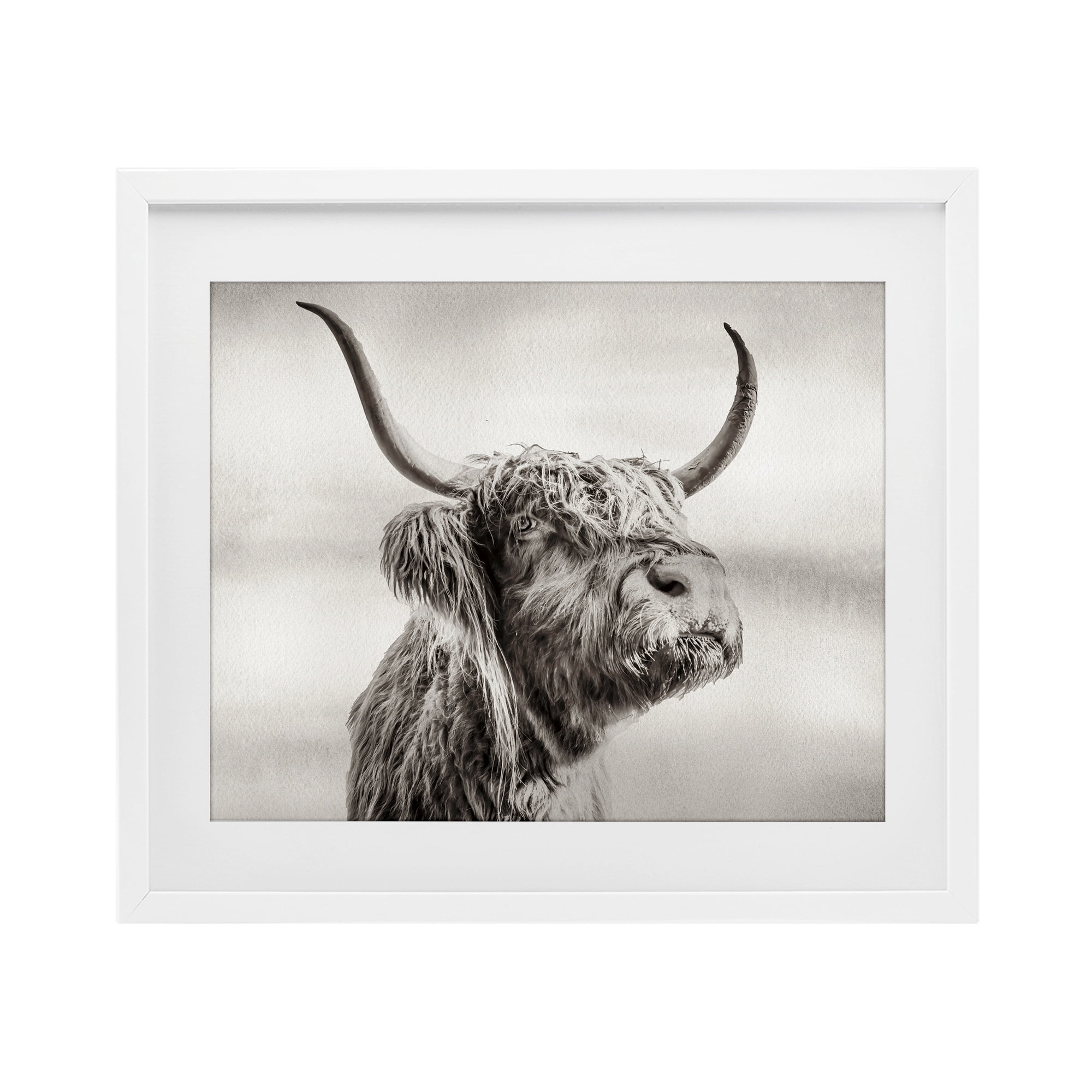 Stupell Industries Horned Highland Cow Gazing White Framed Print Under Glass, design by Julia Frost