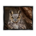 thumbnail image 1 of Stupell Industries Horned Owl Nature Photography Animals & Insects Photography Black Floater Framed Art Print Wall Art, 1 of 6