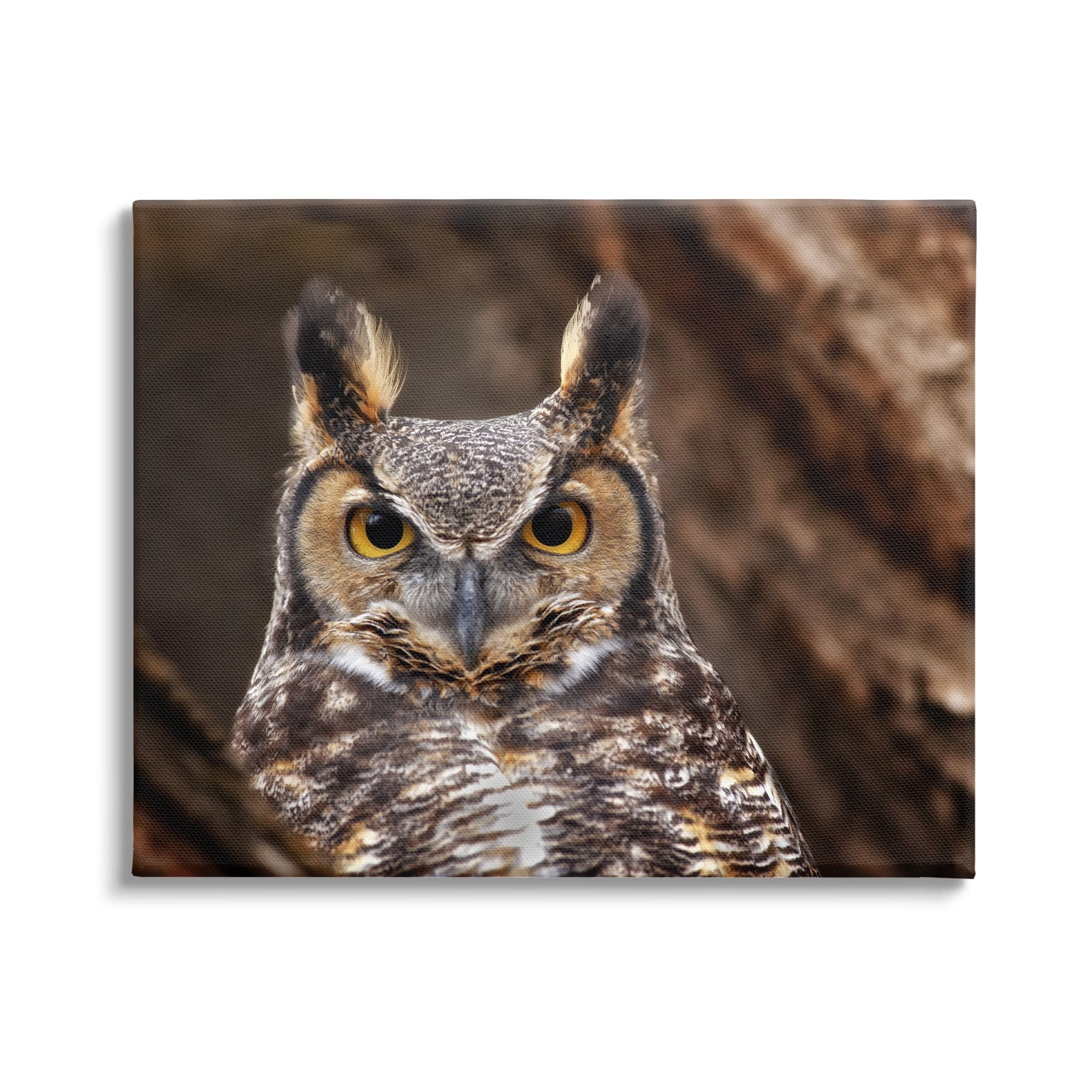 Stupell Industries Horned Owl Nature Photography Animals & Insects Photography Gallery Wrapped Canvas Print Wall Art