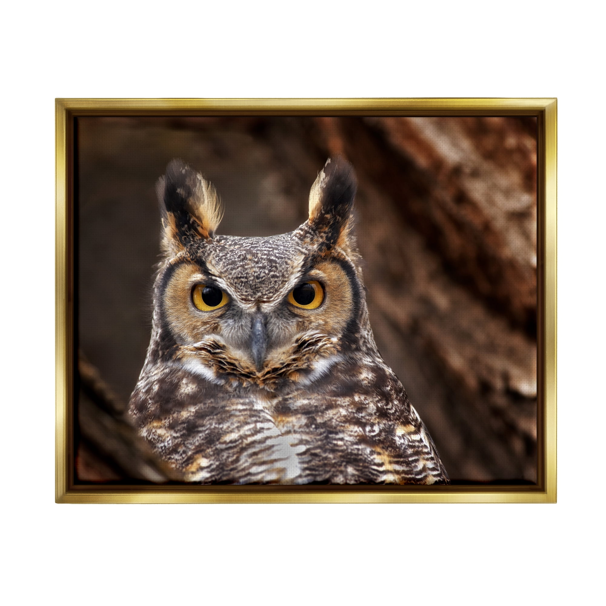 Stupell Industries Horned Owl Nature Photography Animals & Insects Photography Gold Floater Framed Art Print Wall Art