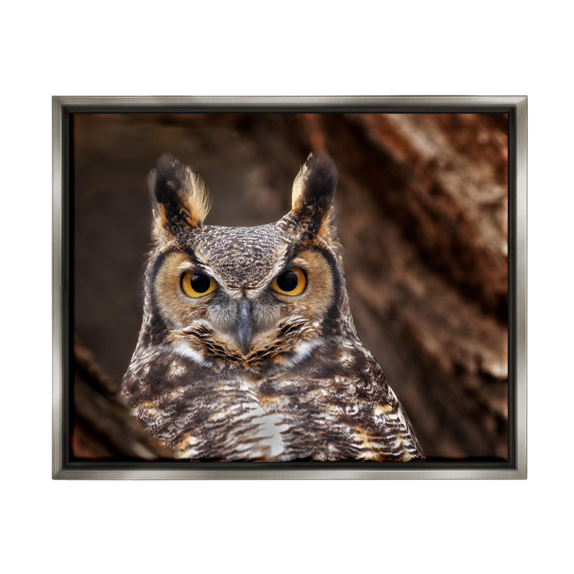 Stupell Industries Horned Owl Nature Photography Animals & Insects Photography Gray Floater Framed Art Print Wall Art